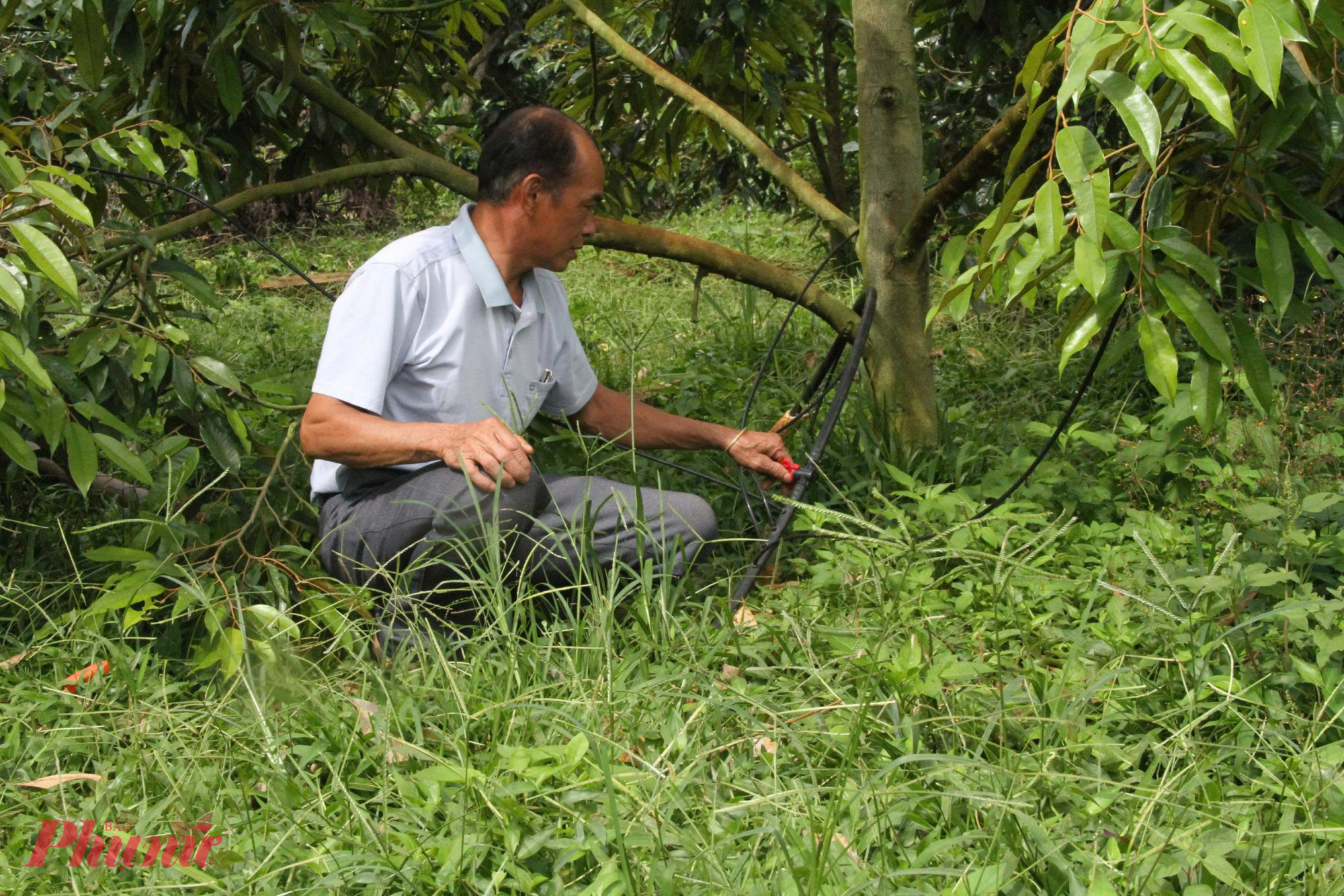 Các giải pháp tưới tiết kiệm, nhỏ giọt được phát huy