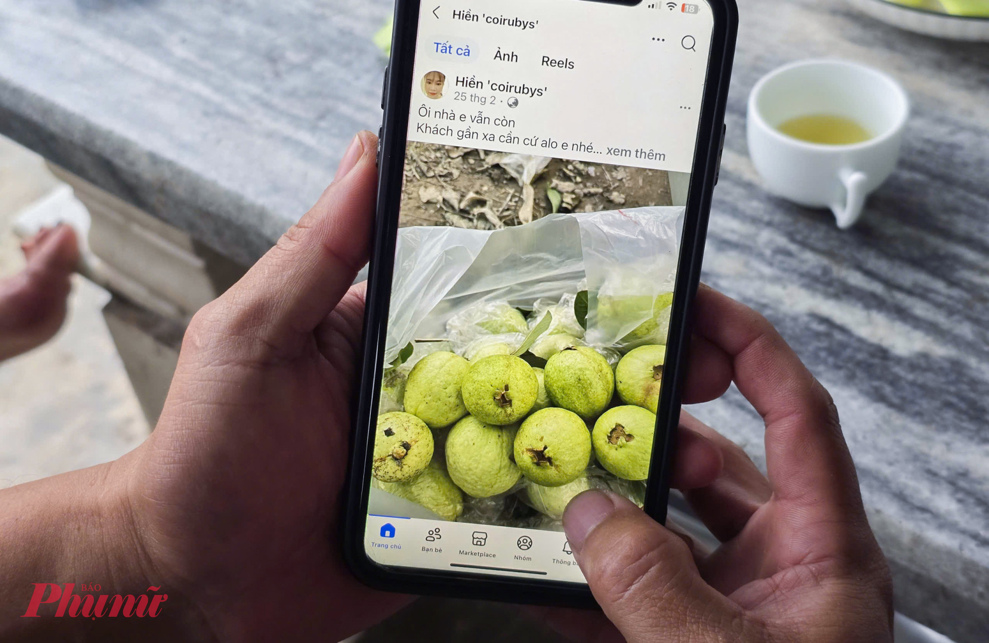 Sản phẩm được anh Thành bán qua mạng xã hội, khách trong vùng chủ động “chốt đơn”. Anh cho biết giá ổi khá ổn định, thậm chí nhiều thời điểm còn rơi vào tình trạng “cung không đủ cầu”.