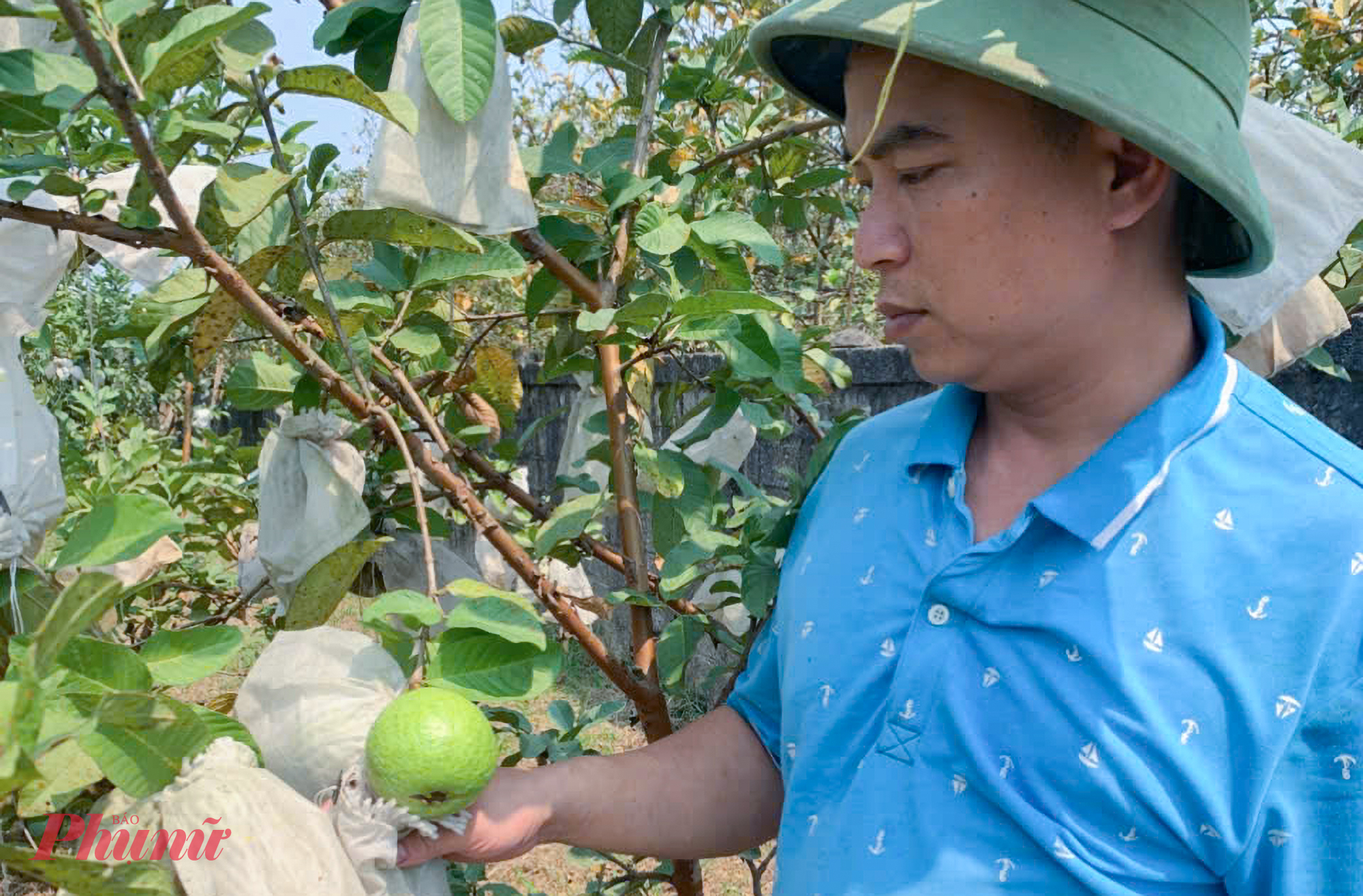 “Quyết định này khiến gia đình bất ngờ, bởi công việc cũ ổn định, thu nhập tốt. Nhưng tôi muốn sống gần gia đình và dùng kiến thức của mình để phát triển quê hương” - anh Thành chia sẻ.