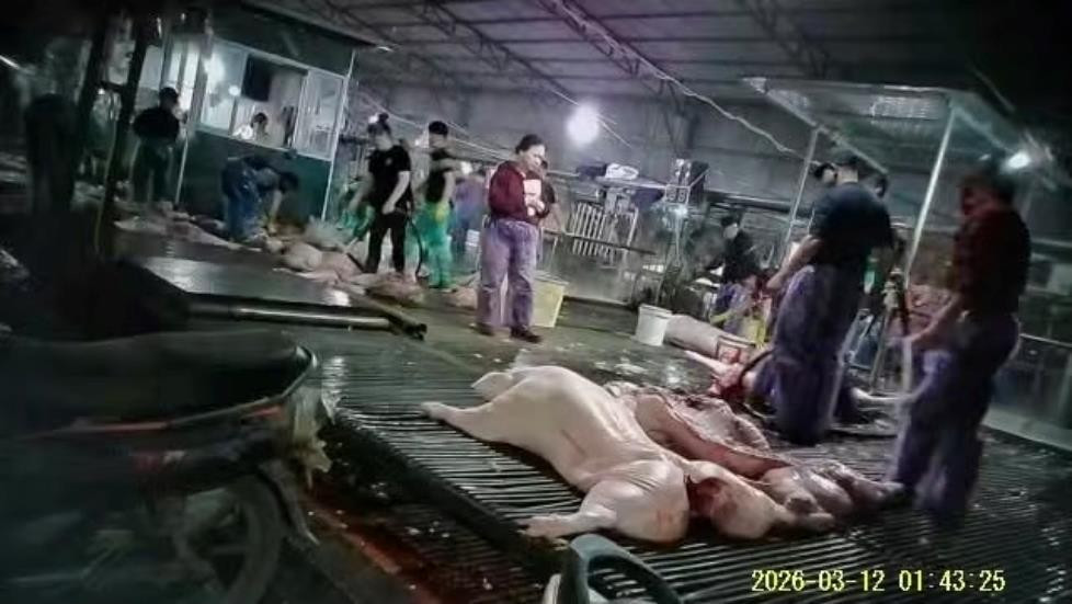 Hà Nội tổng kiểm tra cơ sở kinh doanh 