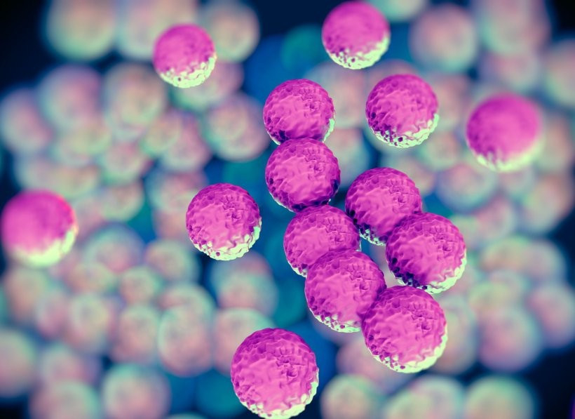 (Ảnh minh họa. Nguồn: healthcare)