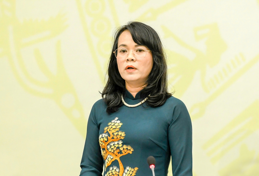 Bà Phạm Thị Hồng Yến - đại biểu Quốc hội chuyên trách