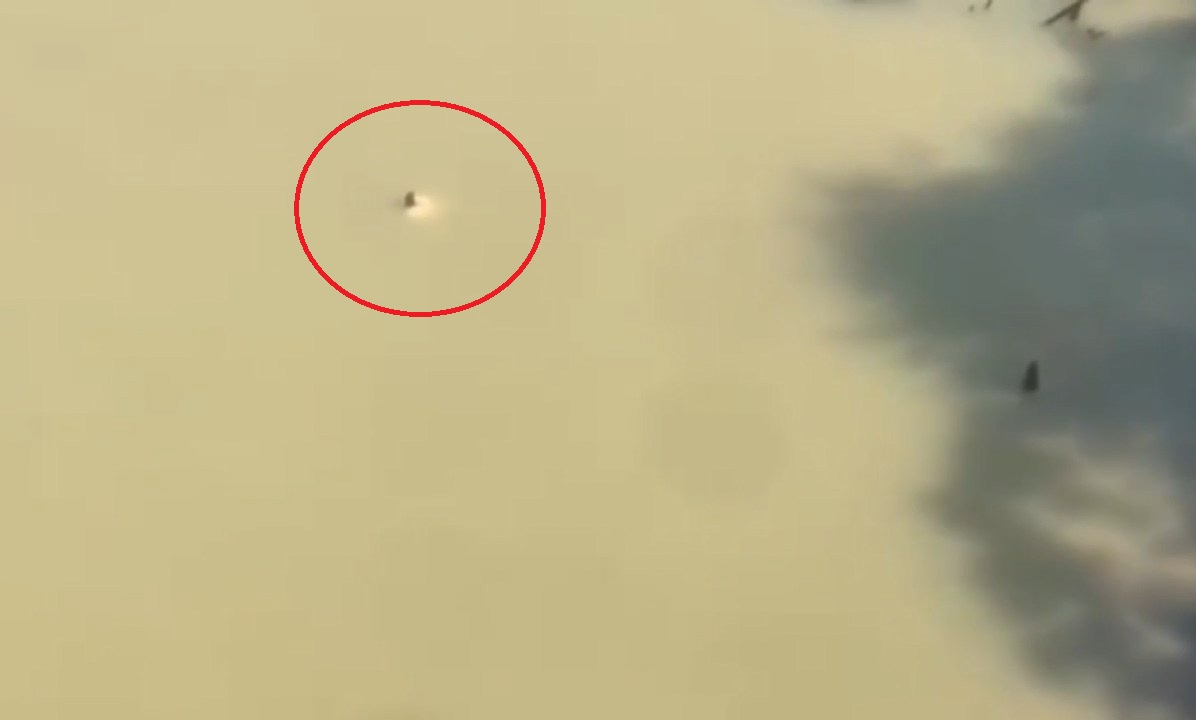 Cô gái cố ngoi lên mặt nước sau khi nhảy xuống sông - ảnh: MXH