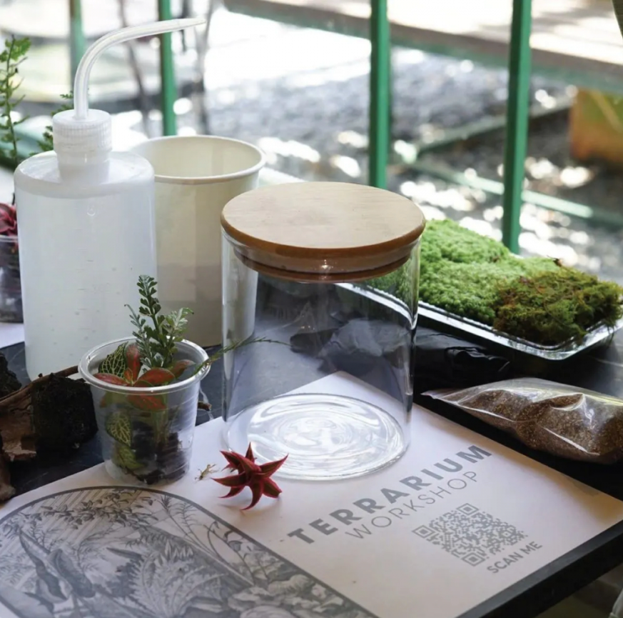 Ẩn mình giữa lòng phố thị tấp nập những dòng xe, hàng quán và nhà cửa cao tầng, Le Jardin (37 Hoa Mai, phường Cầu Kiệu) nổi bật với khoảng không gian xanh mướt, tràn đầy sức sống. Đây là điểm hẹn hoàn hảo cho những tâm hồn yêu thiên nhiên hay mong muốn khám phá và trải nghiệm nghệ thuật terrarium – những chiếc bình thủy tinh chứa đựng cả một hệ sinh thái thu nhỏ, nơi cây cối, hoa cỏ, rêu xanh và đất đá cùng kể nên câu chuyện của riêng mình - Ảnh: Le Jardin