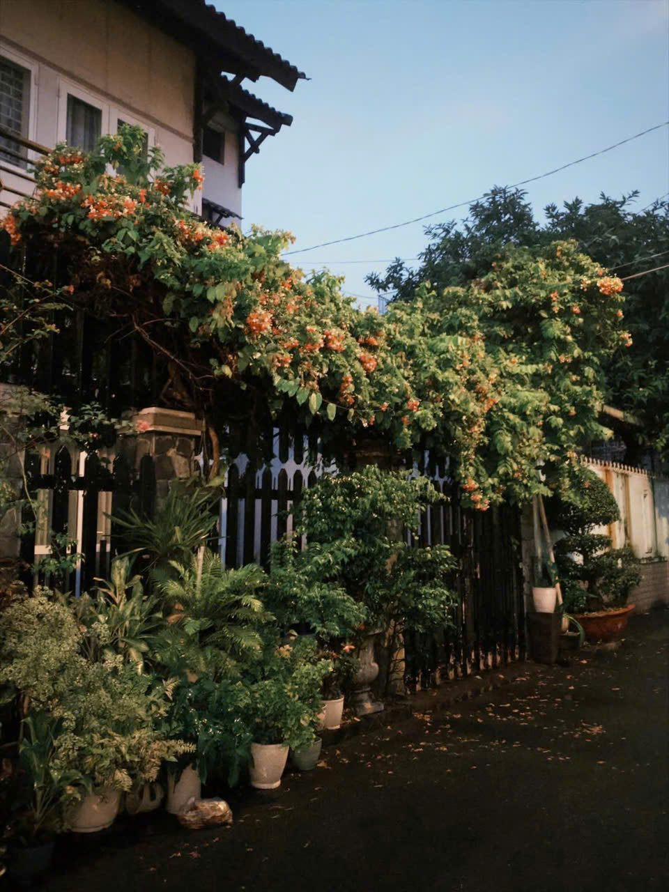 Hèm nhỏ dẫn vào quán cà Phê Yên tại đường Ấp Bắc, phường Tăng Nhơn Phú