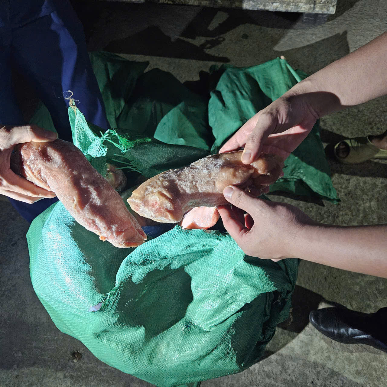 Gần 1 tấn chân giò heo không rõ nguồn gốc bị tịch thu - Ảnh: Cục Quản lý và Phát triển thị trường trong nước