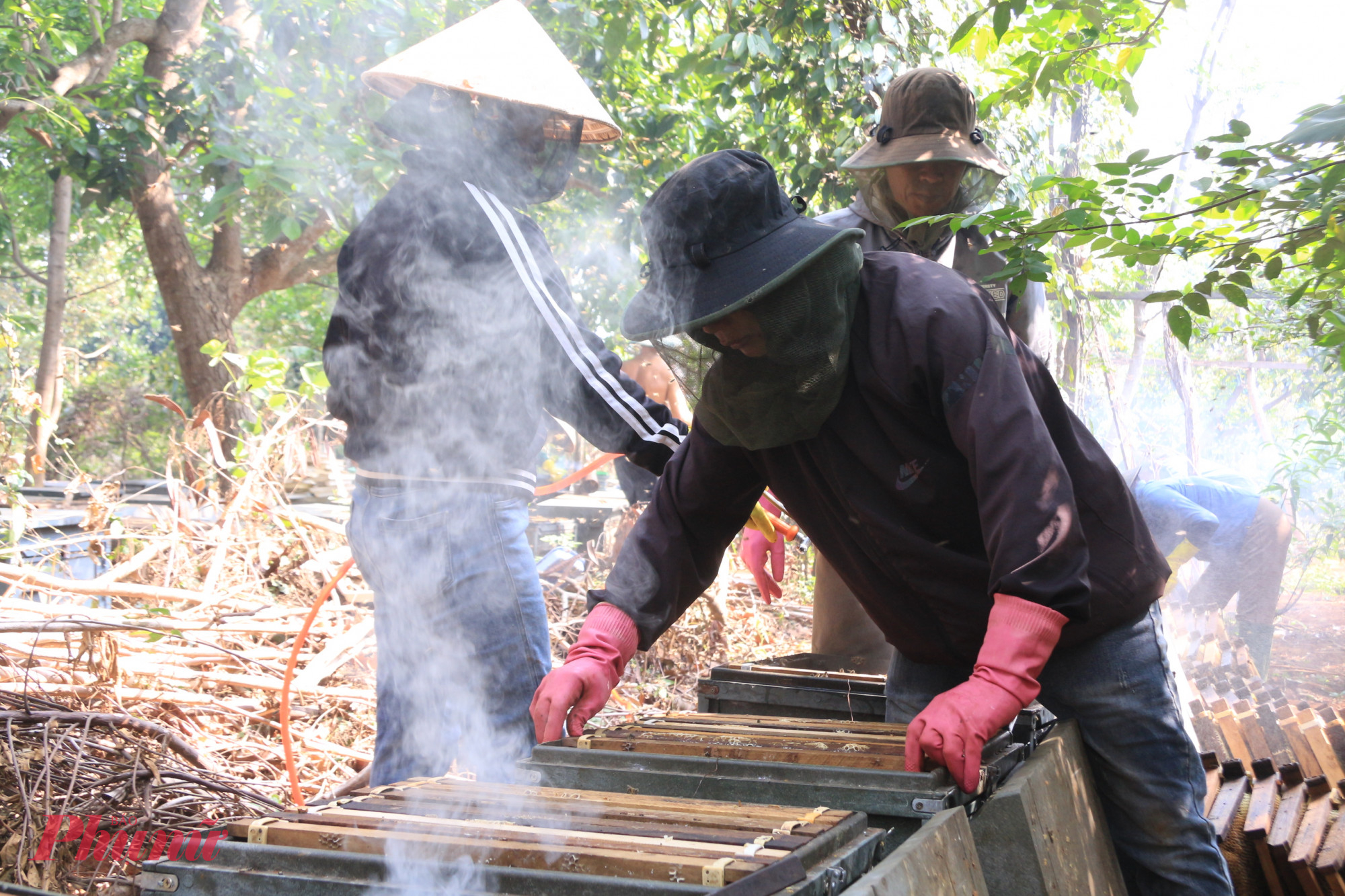 Để có được những giọt mật vàng óng, sánh đặc là cả một quá trình lao động công phu, đòi hỏi sự kiên nhẫn, khéo léo và không ít nhọc nhằn.