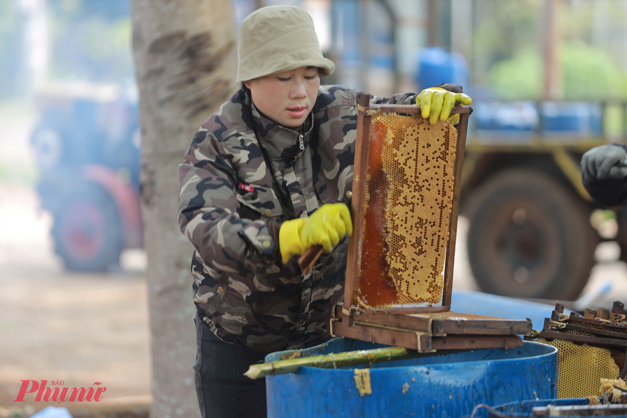 Tại khu vực quay mật, các cầu ong tiếp tục được xử lý qua công đoạn cắt sáp – bước quan trọng để mở đường cho dòng mật chảy ra. 