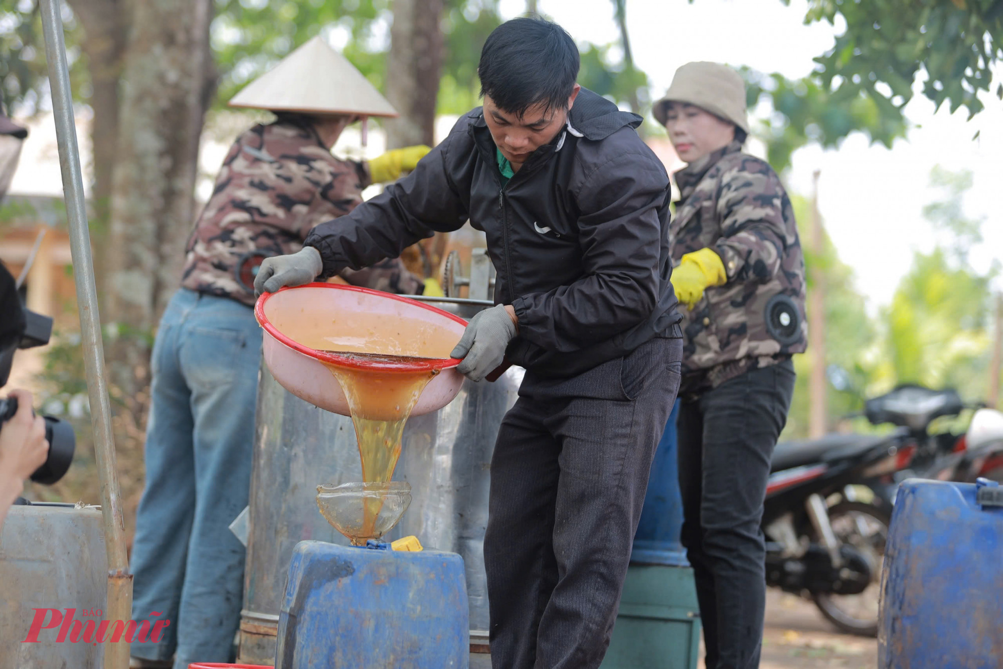  Sau những tháng ngày rong ruổi theo đàn ong, các chủ trại phấn khởi thu về những can mật vàng óng, sánh đặc.