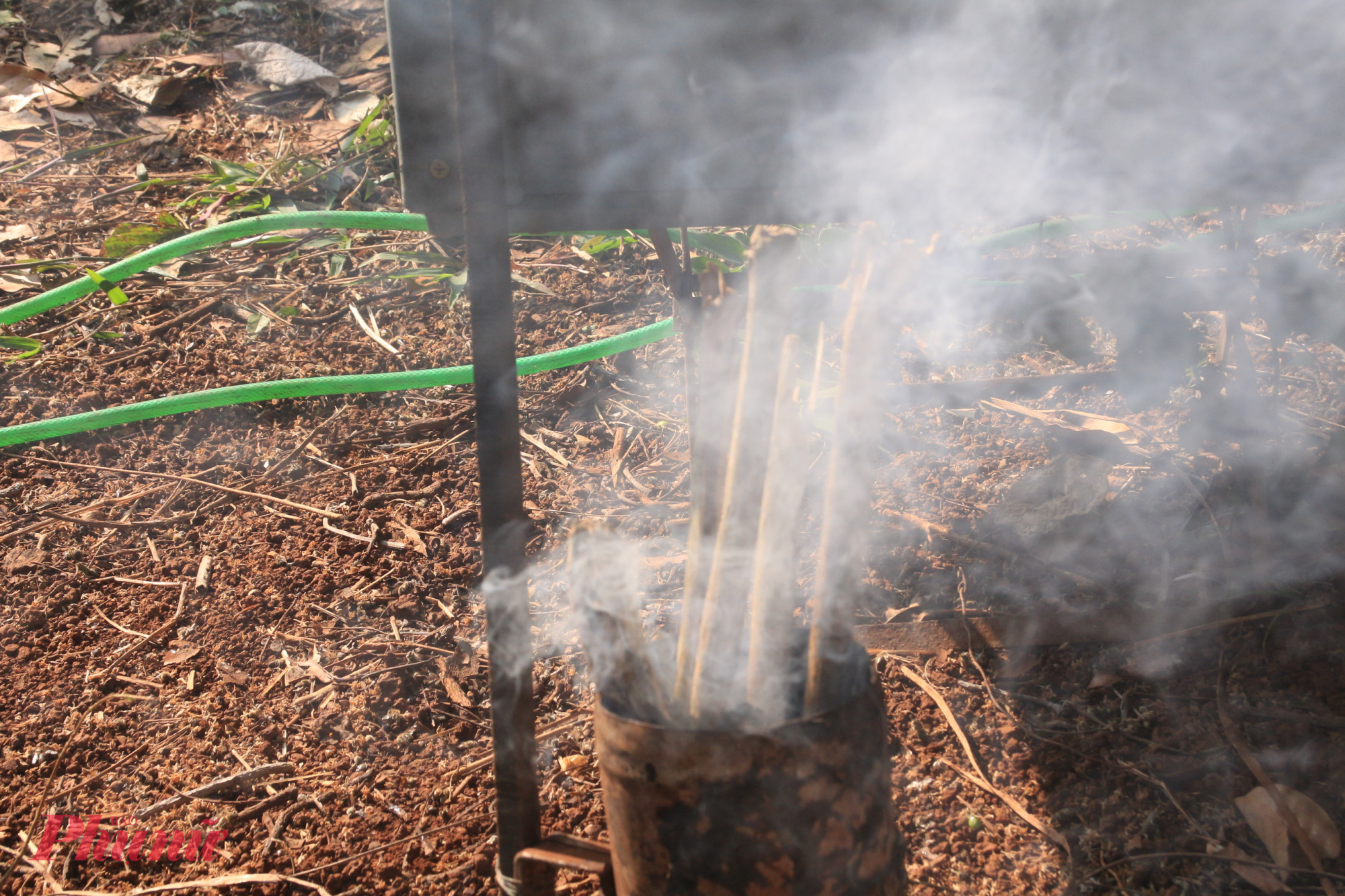 Những người thợ hun khói để việc thu hoạch mật ong được thuận lợi hơn.