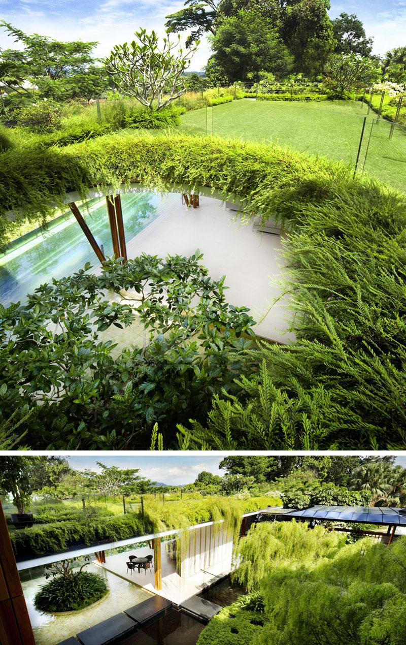 Tiết kiệm năng lượng: Mái nhà xanh tạo ra một lớp cách nhiệt bổ sung, có lợi cả trong mùa đông và mùa hè. Vào mùa đông, mái nhà xanh giảm thiểu thất thoát nhiệt nhờ các lớp cách nhiệt bổ sung. Vào mùa hè, cây cối và lớp đất bảo vệ ngôi nhà khỏi sức nóng trực tiếp của mặt trời, giúp nhà mát hơn một cách tự nhiên và từ đó mà lam giảm chi phí làm mát. Ảnh: @Patrick Bingham-Hall.