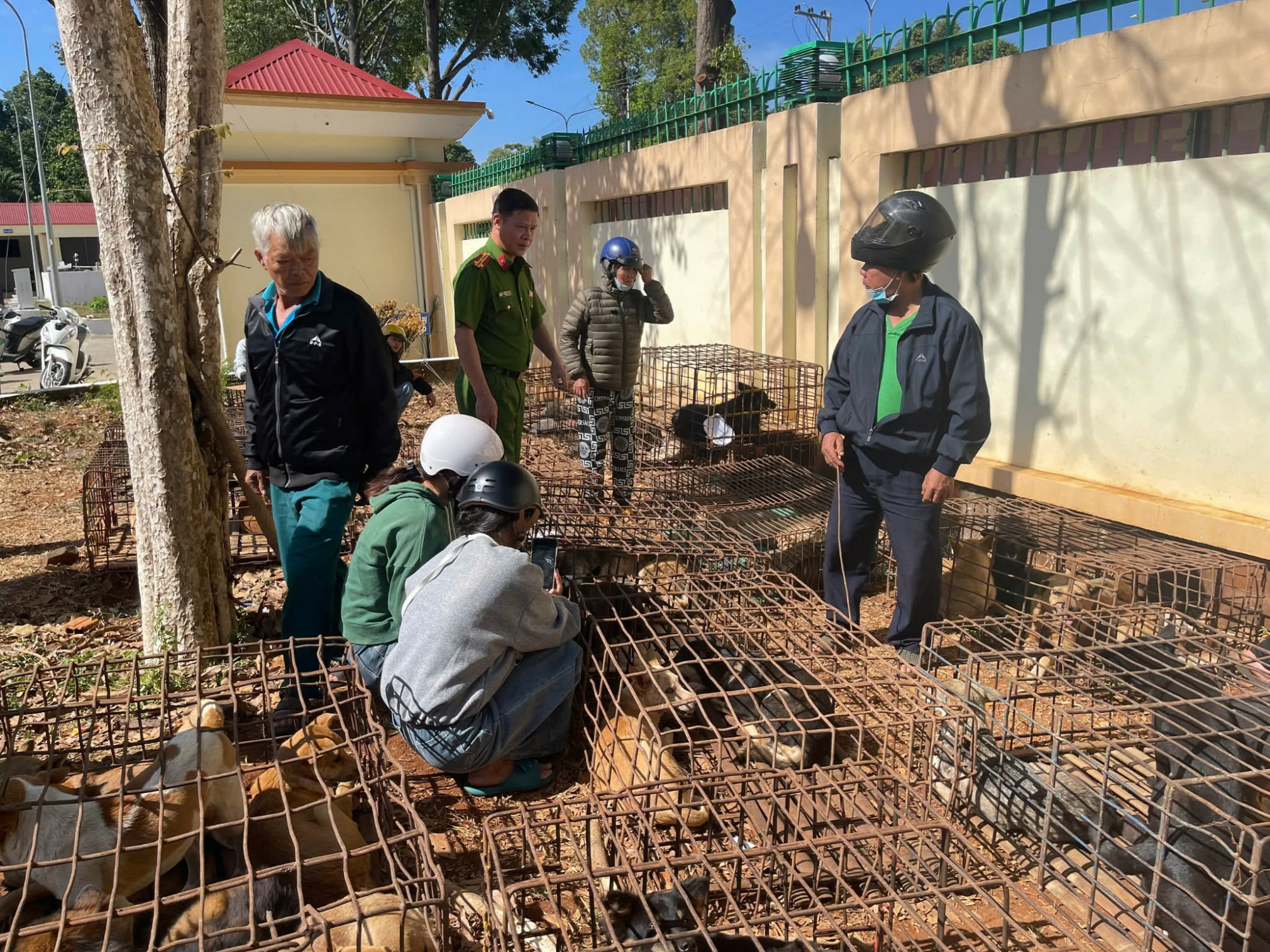 Người dân đến cơ quan công an nhận diện chó bị mất trộm - ảnh: Sỹ Đức