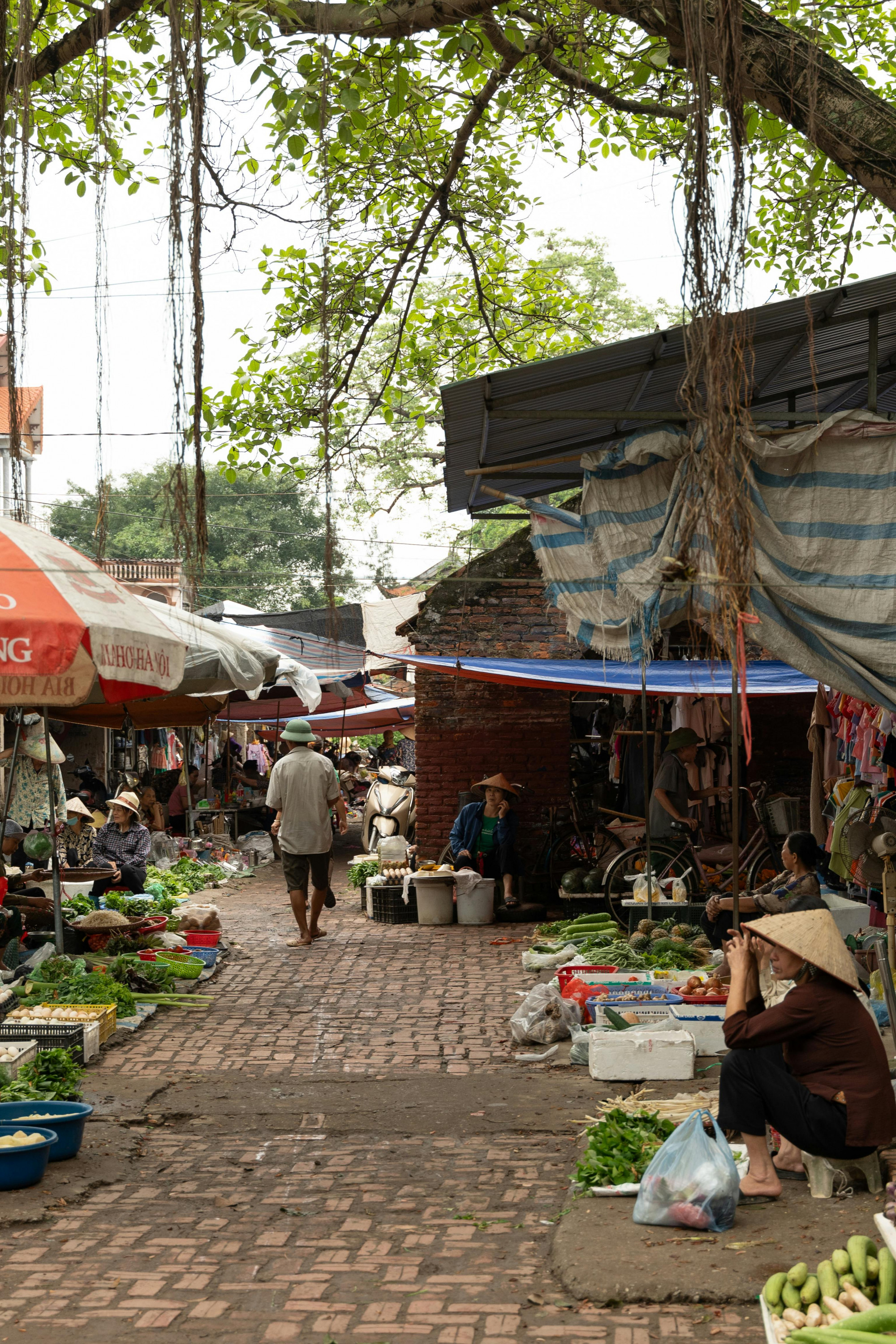 Ảnh minh họa - Pexels