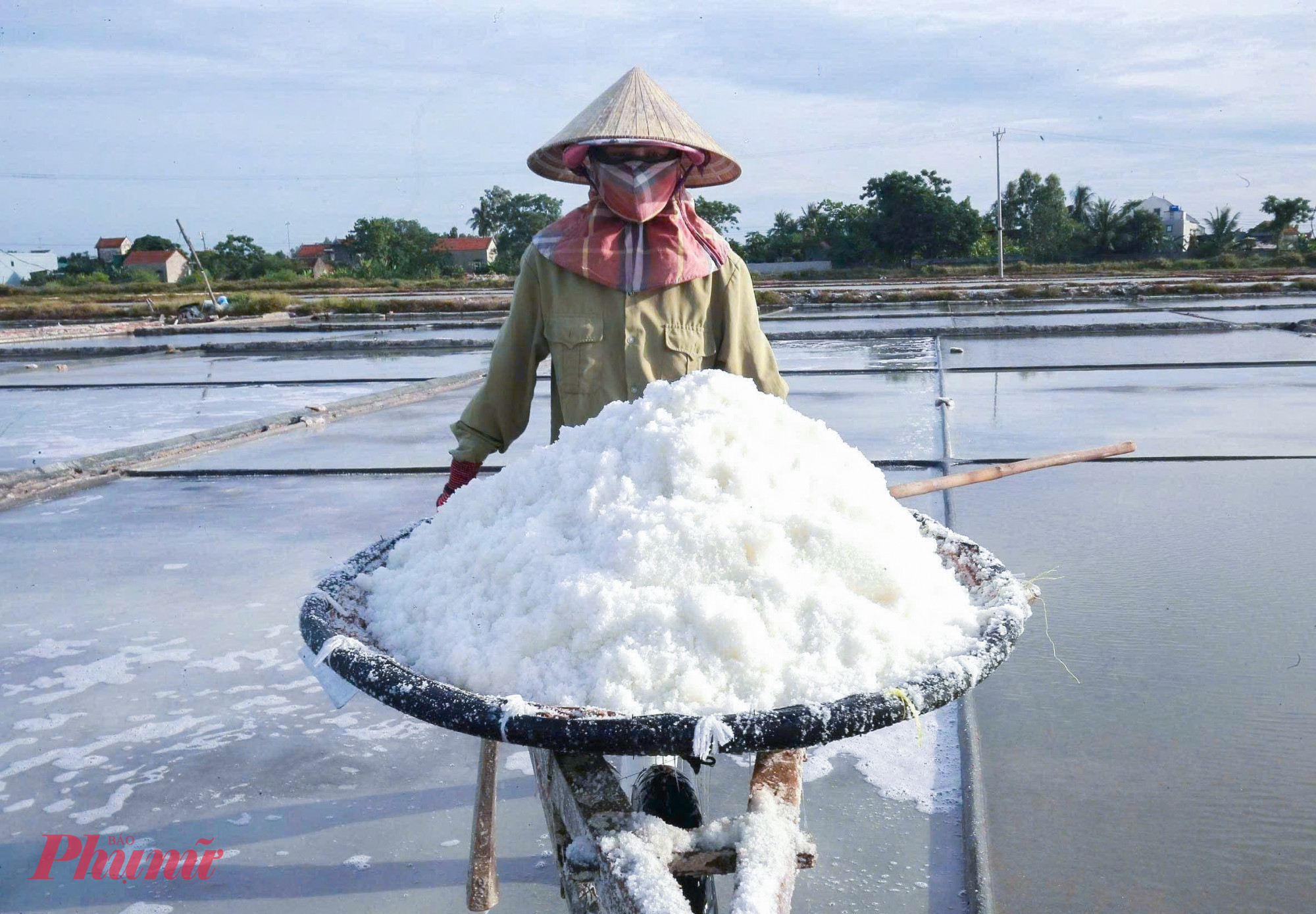 Ông Bùi Xuân Điện - Giám đốc Hợp tác xã Muối Thắng Lợi (xã Quỳnh Phú) - cho biết, hiện HTX có 830 xã viên, quản lý 113ha sản xuất, mỗi năm cung ứng ra thị trường hơn 10.000 tấn muối. Hiện muối được thu mua với giá dao động từ 1.800 - 2.000 đồng/kg, tuy chưa phải mức cao nhưng vẫn là mức có thể chấp nhận, giúp diêm dân yên tâm bám nghề.
