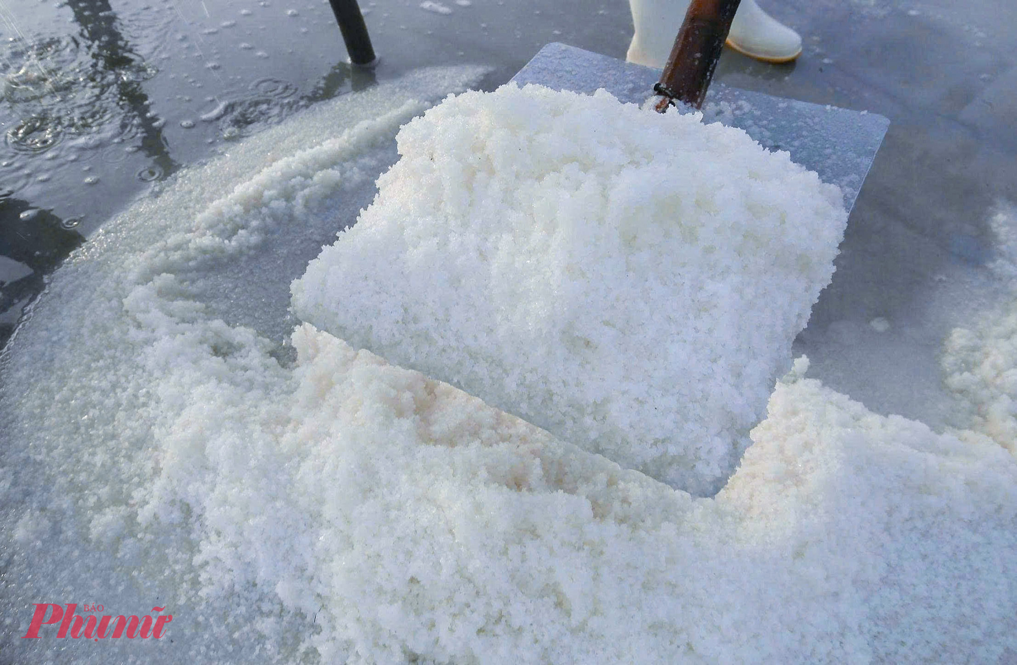 Với diêm dân làng muối Tân Thắng (xã Quỳnh Phú, tỉnh Nghệ An) - nơi có nghề làm muối phơi cát hơn 400 năm tuổi - cái nắng gay gắt không chỉ là thử thách mà còn là “thời điểm vàng” để kết tinh nên những hạt muối trắng tinh, mặn mòi.