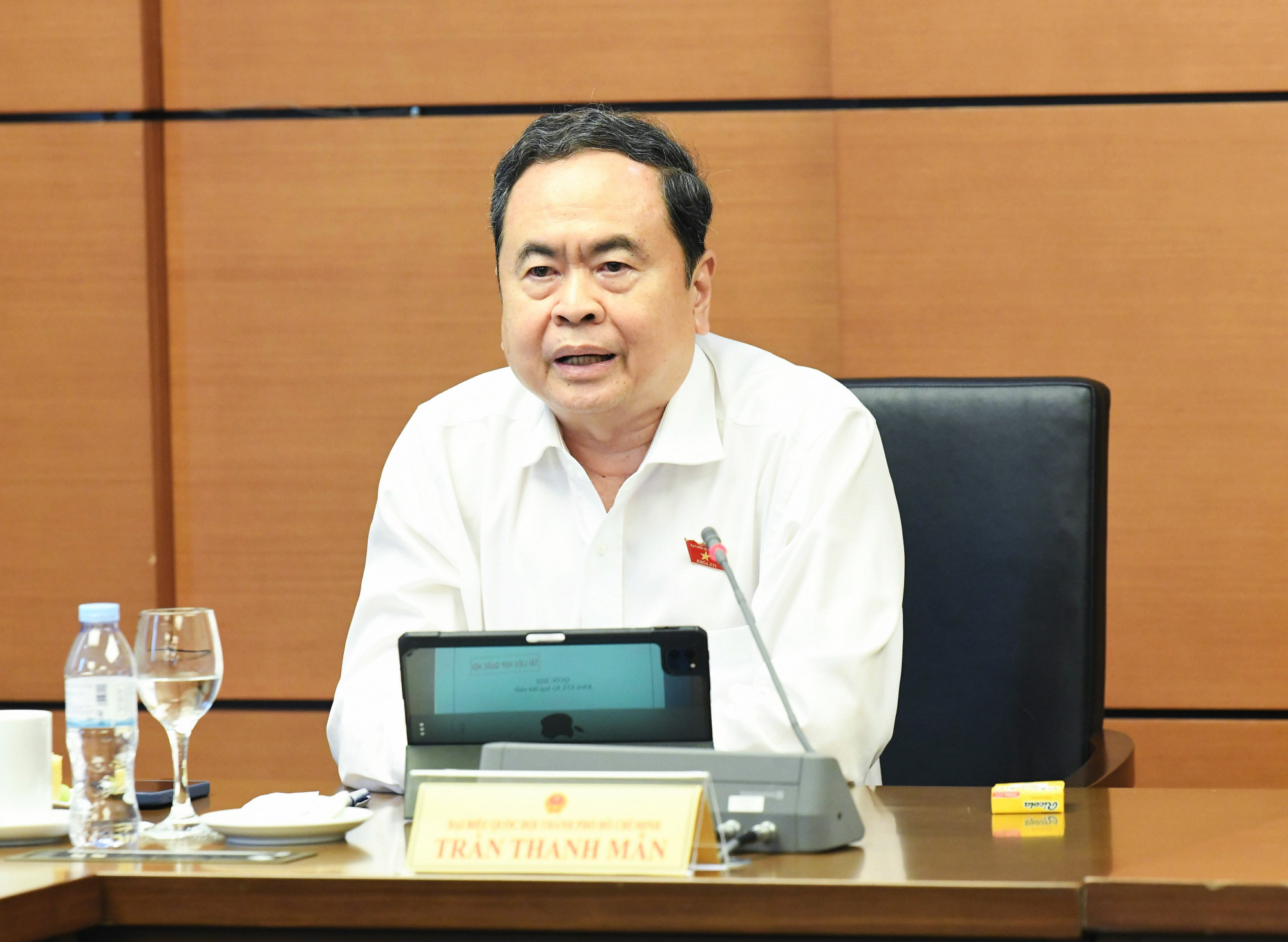 Chủ tịch Quốc hội Trần Thanh Mẫn phát biểu tại thảo luận tổ - ảnh: D.V