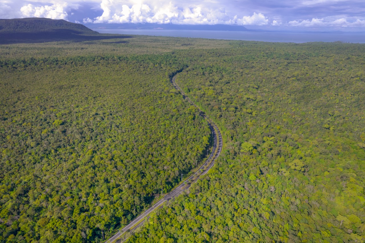 Chi cục Kiểm lâm tỉnh An Giang cảnh báo nhiều khu vực rừng ở tỉnh này cảnh báo cấp cực kỳ nguy hiểm, có khả năng cháy lớn và lan tràn lửa nhanh - Ảnh Phú Hữu