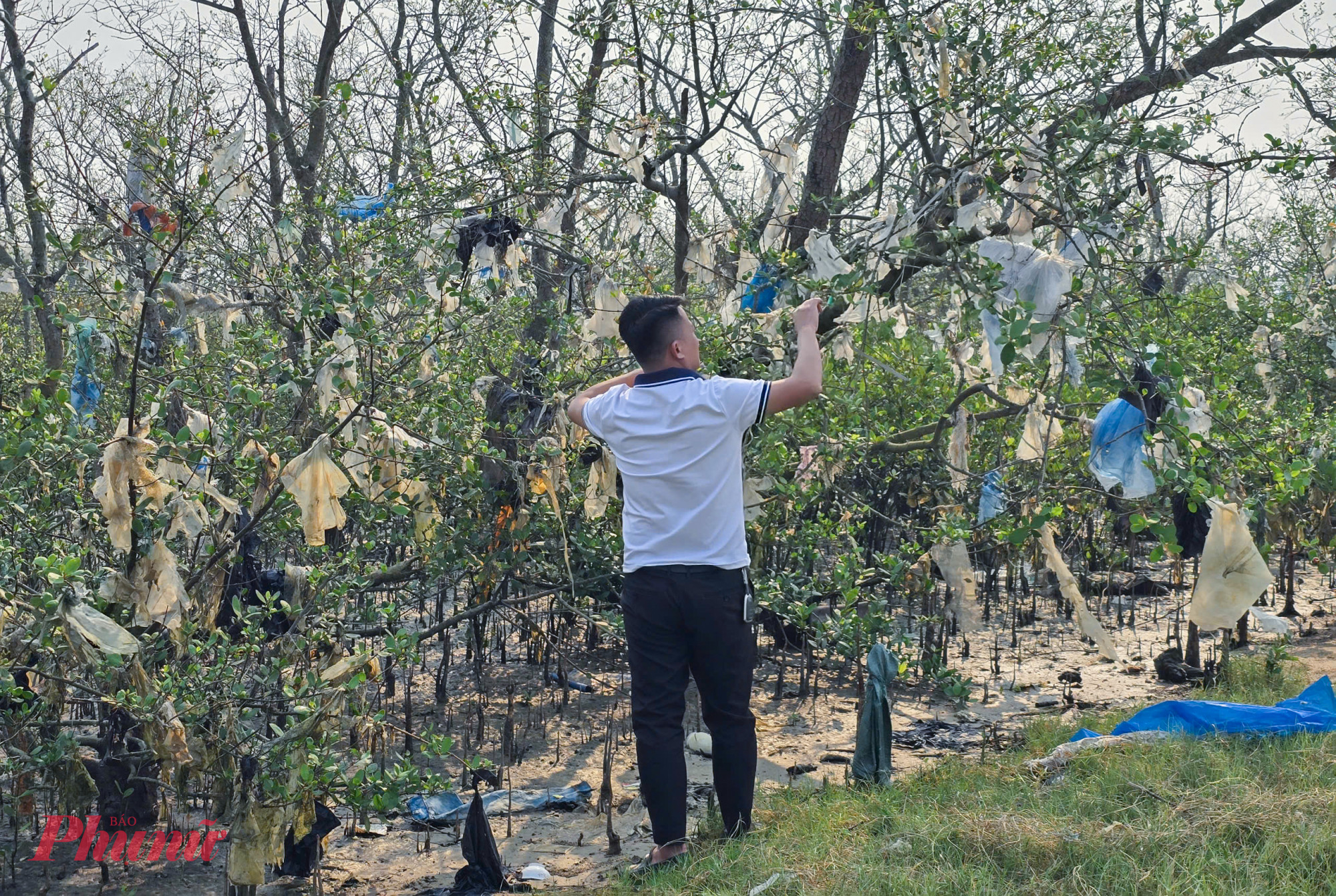 Trước thực trạng trên, chính quyền phường Vinh Lộc đã giao các bộ phận chuyên môn kiểm tra, huy động nhân lực giải phóng số rác thải rắn ở cánh rừng bần. Phường Vinh Lộc cũng đã có văn bản đề nghị Ban Quản lý rừng phòng hộ Nghi Lộc (đơn vị được giao quản lý rừng phòng hộ ven sông Lam) phối hợp xử lý tình trạng trên.