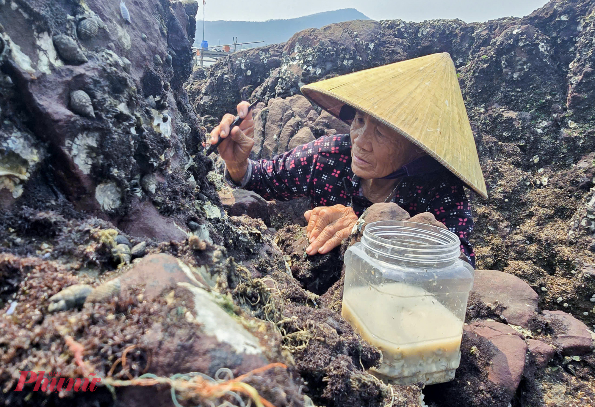 “Phải leo lên đá nhọn hoắt, trơn trượt, nhiều lúc vỏ hàu cứa chảy máu là chuyện thường ngày. Giờ già rồi nhưng vẫn phải cố làm để có thêm thu nhập” - bà Luyến chia sẻ.