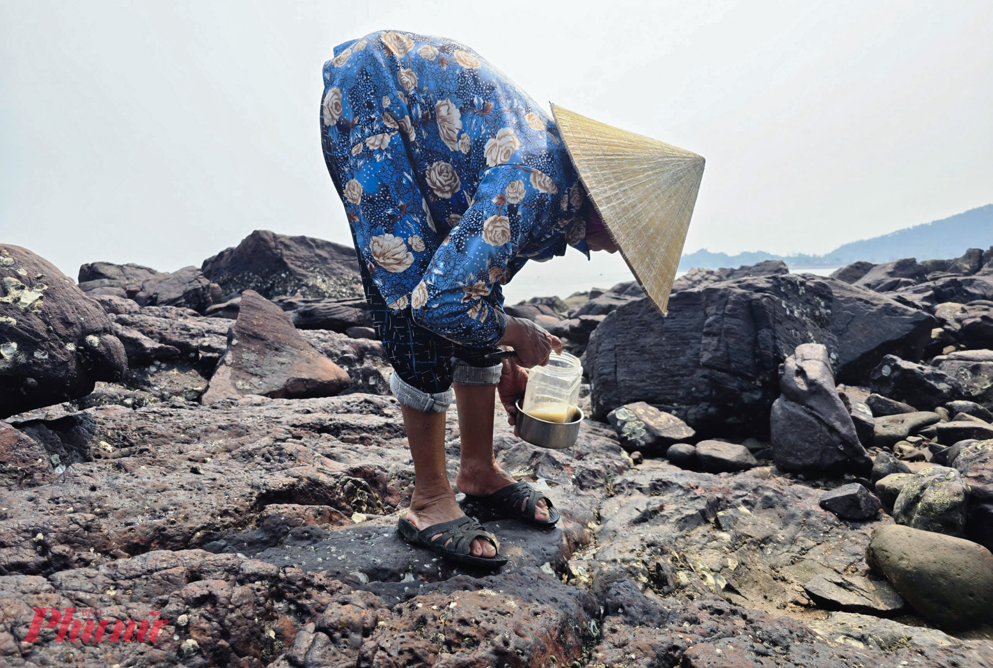 Lần theo từng tảng đá, những người phụ nữ cúi mình, tay thoăn thoắt nện xuống những con hàu bám chặt. Mỗi nhát đục dứt khoát làm vỡ lớp vỏ cứng, lộ ra phần thịt trắng đục bên trong, rồi nhanh tay tách lấy, bỏ gọn vào chiếc hũ nhựa, tích góp từng chút “lộc biển”.