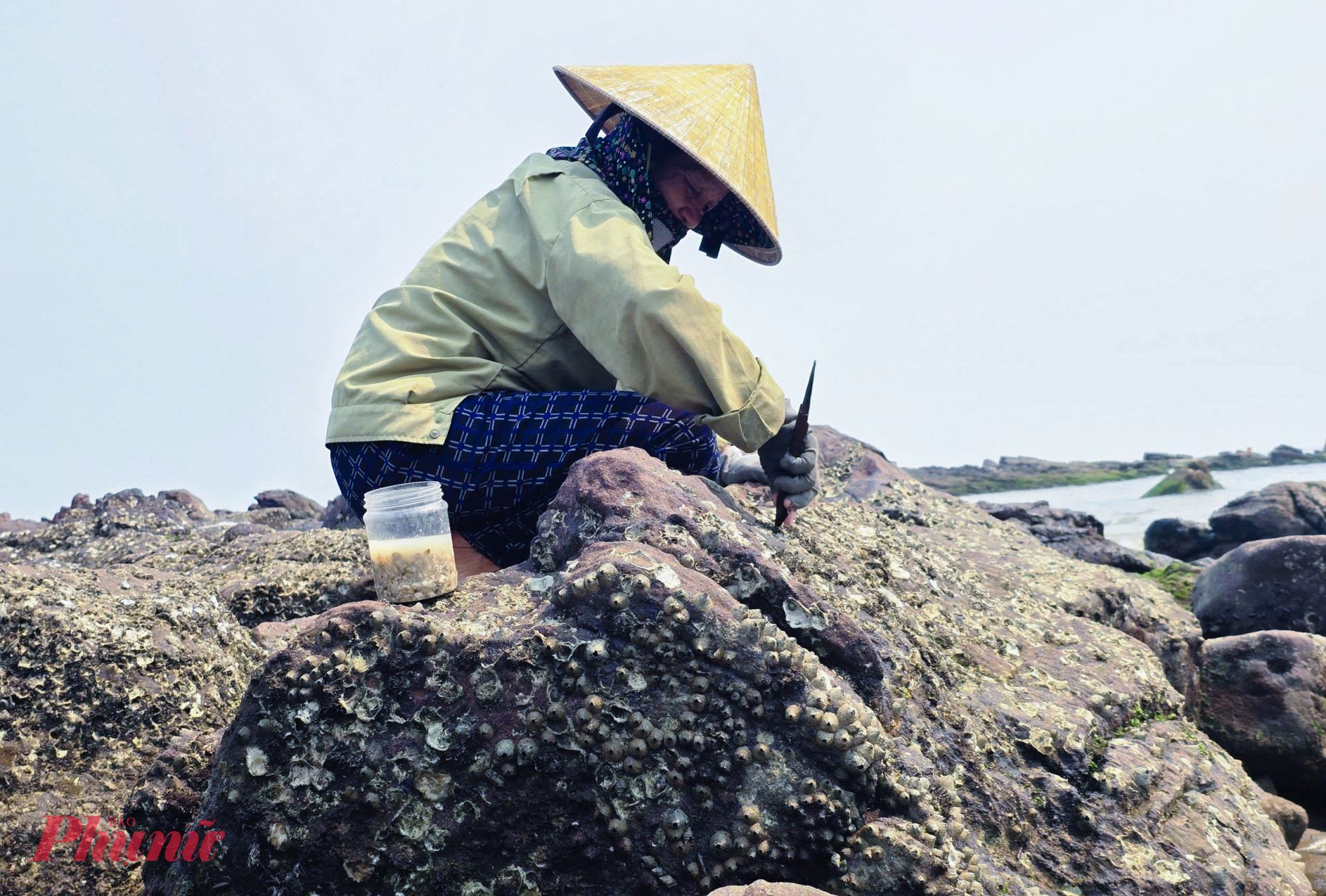Trên những mỏm đá lởm chởm, thấp thoáng những người phụ nữ lom khom, tay thoăn thoắt đục vào lớp vỏ hàu mưu sinh. Tiếng kim loại va vào đá chan chát vang lên giữa tiếng sóng, từng mảnh vỏ vỡ ra, lộ phần thịt hàu trắng đục.