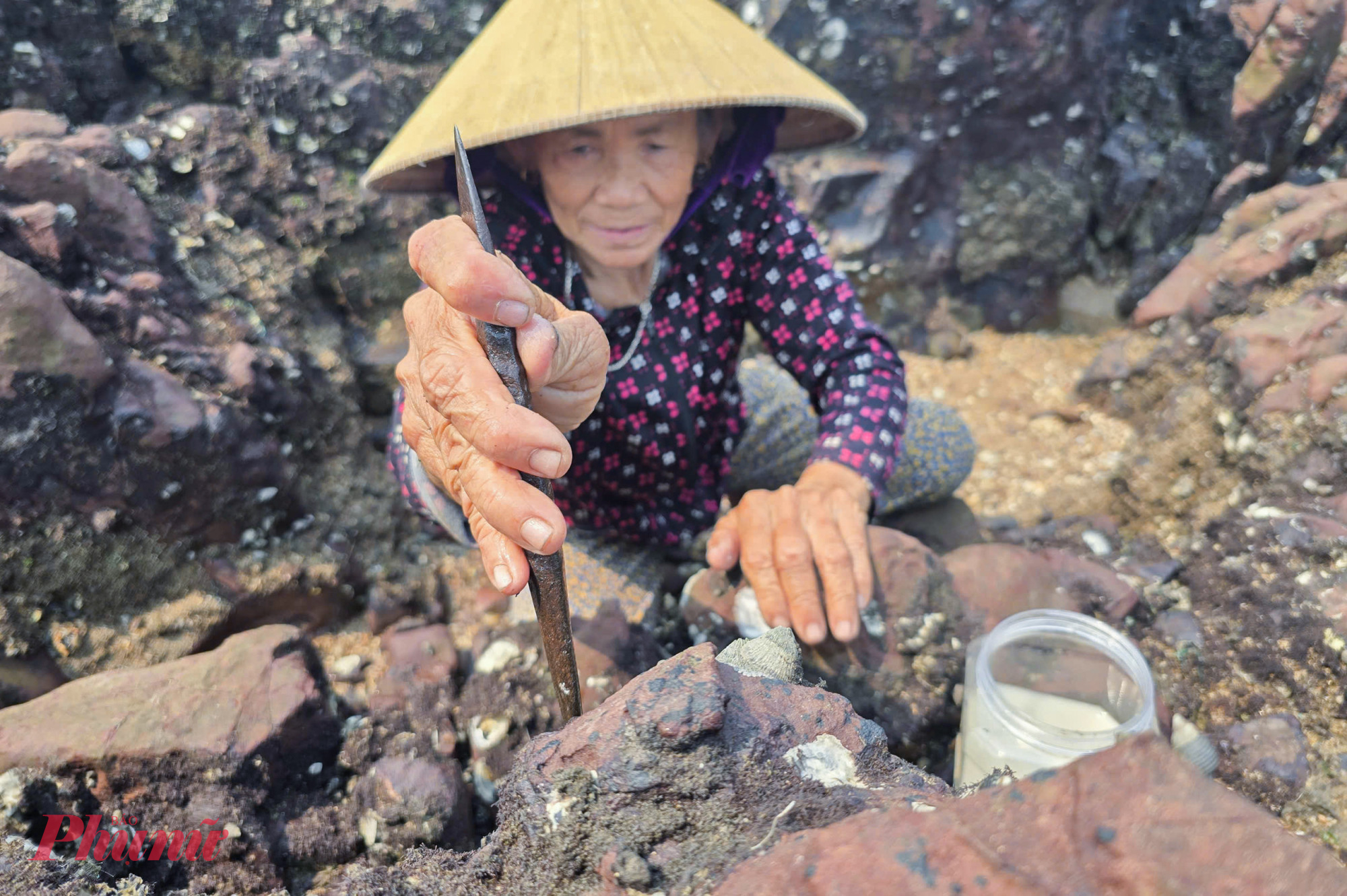 Dụng cụ đục hàu chỉ là một thanh sắt thô sơ, một đầu nhọn, một đầu dẹt được tự chế đơn giản. 