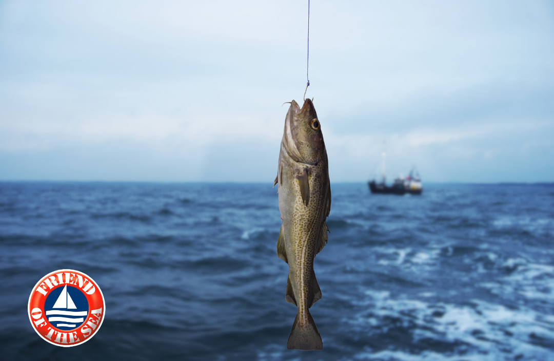 Theo các tiêu chuẩn quốc tế Codex của FAO/WHO khuyến nghị TOTOX ≤ 25. Một số tổ chức trong ngành omega-3 đưa ra ngưỡng tương tự, khoảng ≤ 26