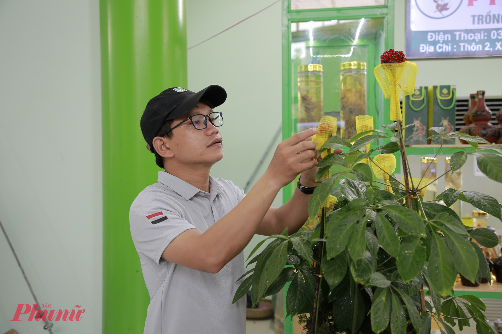 Thay vì tổ chức phiên chợ tại thủ phủ trồng sâm trên núi, phiên chợ sâm Ngọc Linh hằng tháng sẽ được Đà Nẵng tổ chức ở trung tâm, nơi có đông đúc khách du lịch.