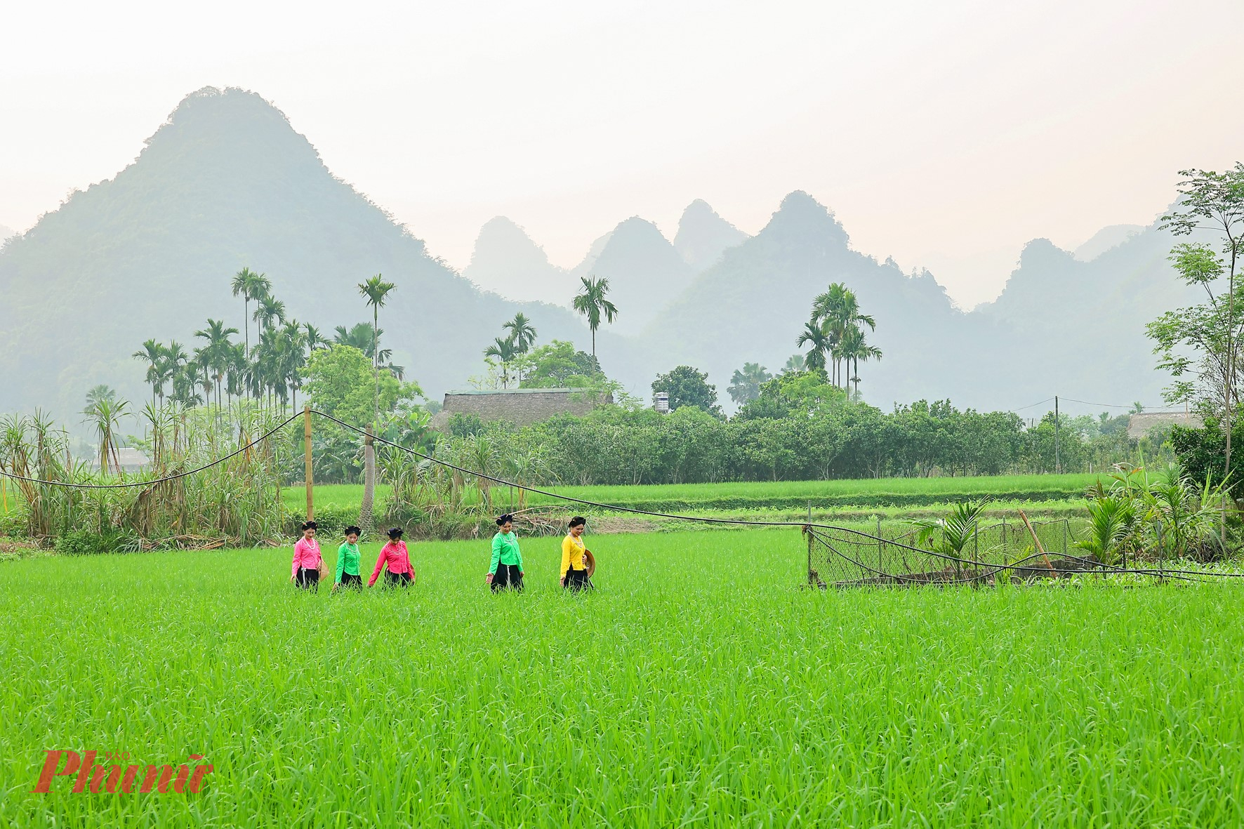 Nép mình giữa núi rừng Lào Cai, Lâm Thượng là vùng đất của người Tày, nơi đời sống và ẩm thực vẫn giữ nguyên vẻ mộc mạc, nguyên bản.