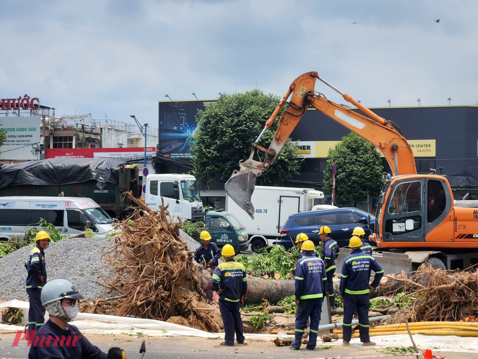 Hàng cây xanh trên đường Trường Chinh bị đốn hạ để phục vụ thi công nhà ga metro số 2