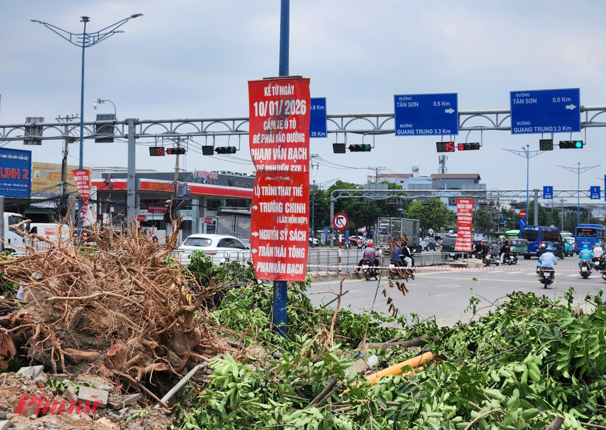 Các nhánh cây xanh bị cắt tỉa - Ảnh: Nguyễn Văn