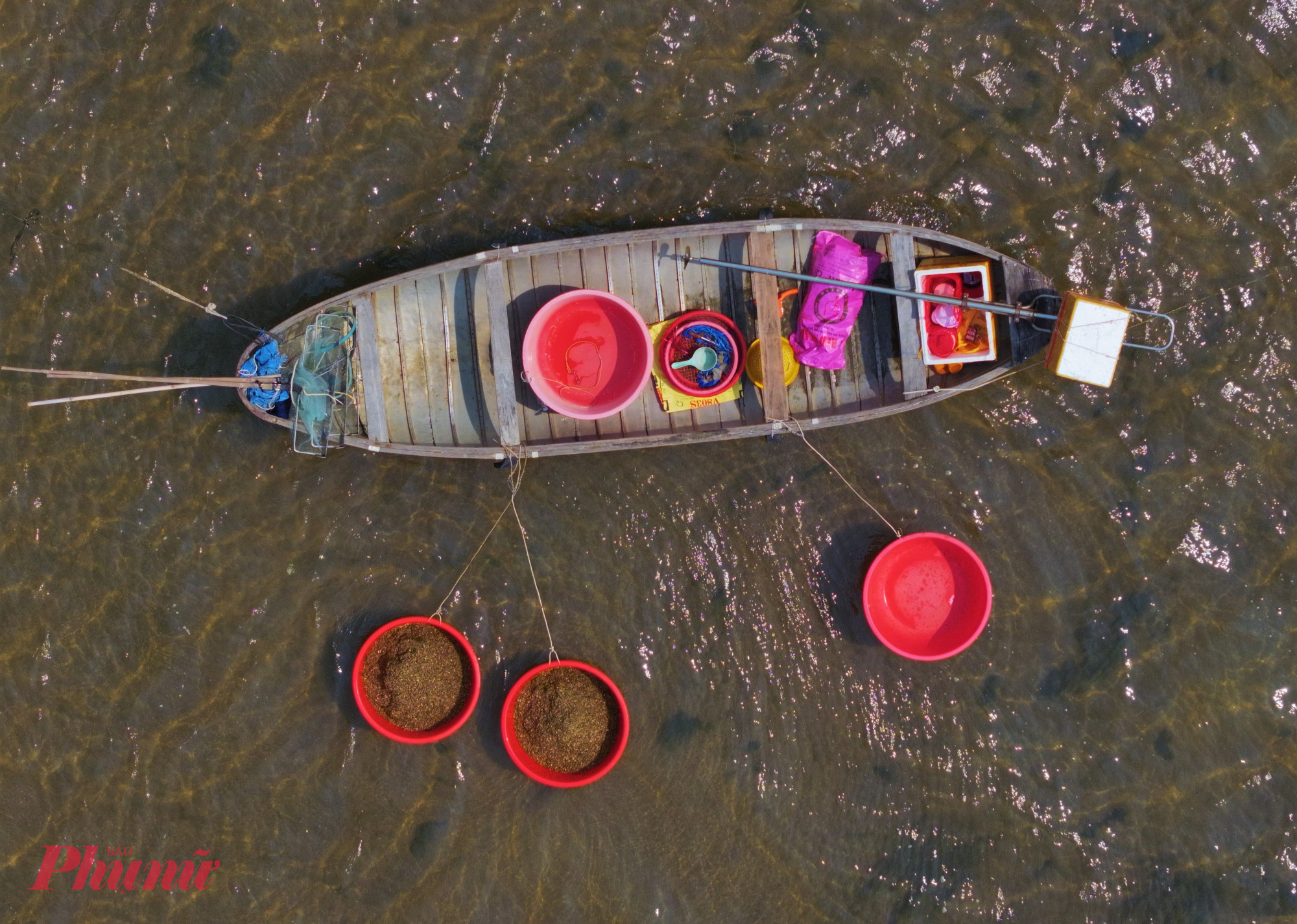 Theo những người có nhiều năm gắn bó với nghề, thu nhập từ việc cào ốc xếp bấp bênh, phụ thuộc hoàn toàn vào con nước và thời tiết. Những ngày biển êm, nước cạn, mỗi người có thể cào được nhiều; ngược lại, khi biển động thì gần như không thể cào được ốc - ảnh: Tuệ Lâm.