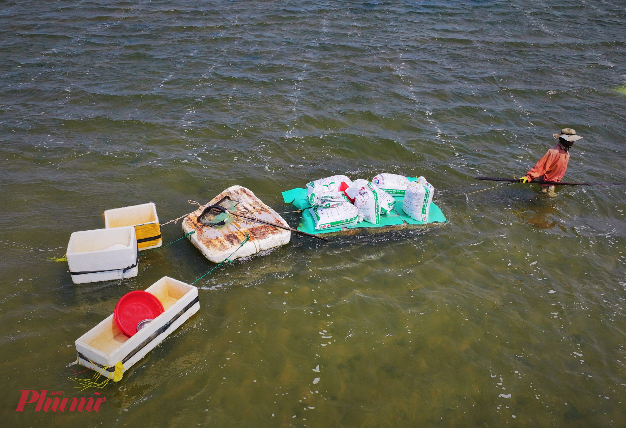 Ốc sau khi đãi sạch được đóng bao, kéo vào bờ và nhanh chóng chuyển lên xe của thương lái, đưa đi tiêu thụ tại các vùng nuôi tôm hùm 