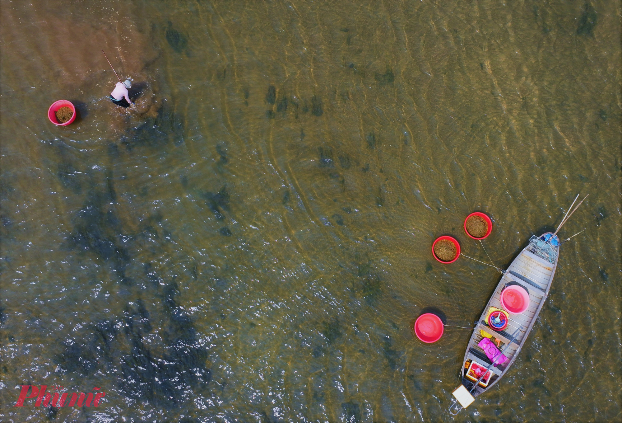 Giữa cái nắng gắt như đổ lửa, nhiều người dân vẫn lặng lẽ ngâm mình dưới làn nước, cần mẫn cào từng mẻ ốc xếp.