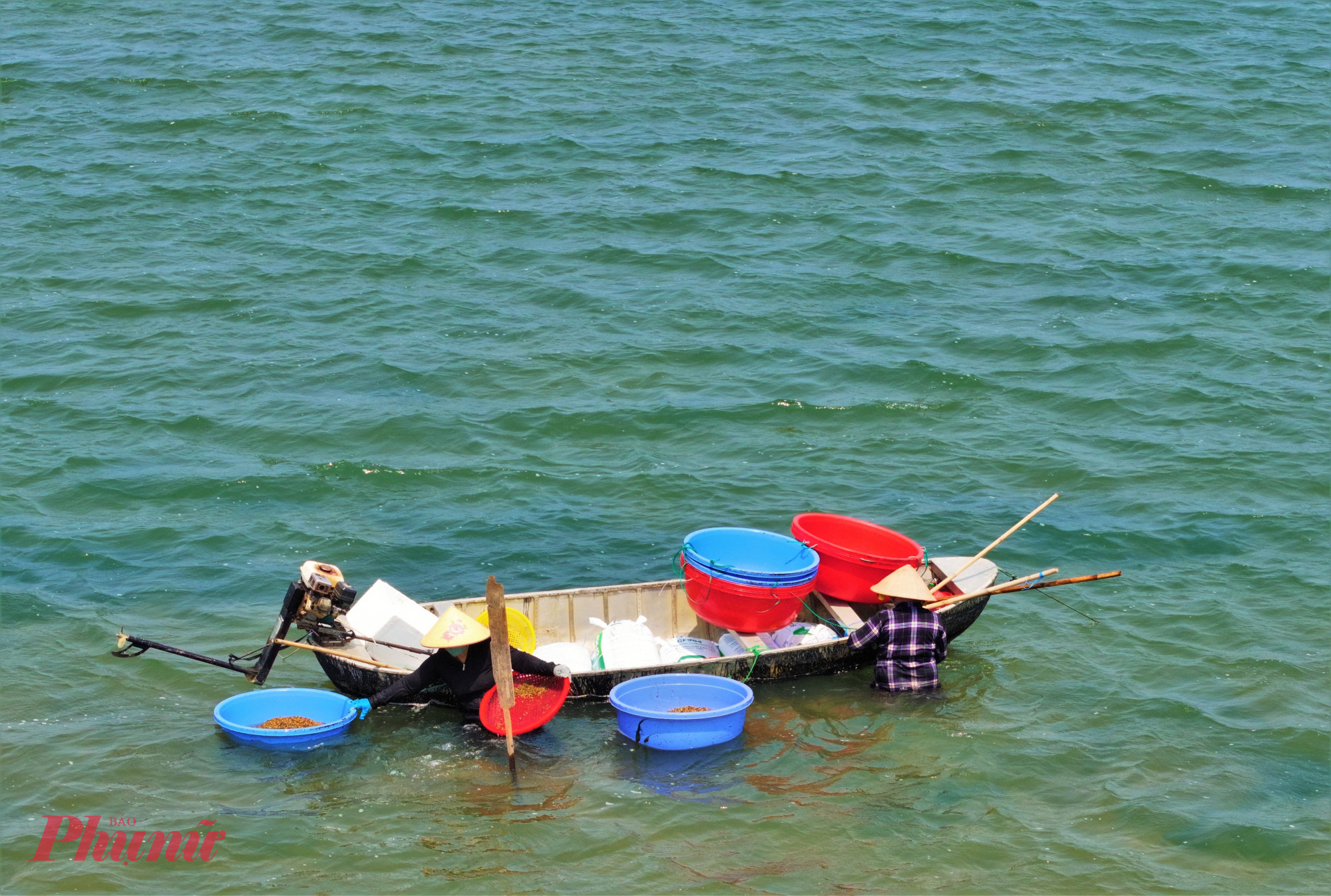 Tờ mờ sáng, khi thủy triều bắt đầu rút, những chiếc thuyền nhỏ lặng lẽ rời bờ. Dụng cụ mang theo chỉ vỏn vẹn vài chiếc cào sắt tự chế, rổ, can hay thau nhựa buộc dây ngang bụng để làm phao nổi đựng ốc - ảnh: Tuệ Lâm.