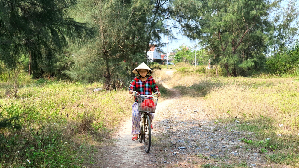 Tại Hội An vẫn còn những dải rừng phòng hộ ven biển nhưng nằm rất phân tán