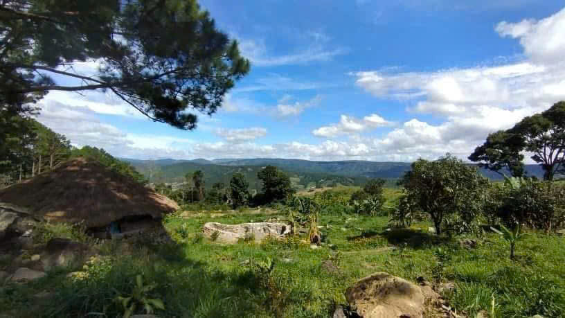 Mọi thứ không đẹp như tôi tưởng (Ảnh minh hoạ)