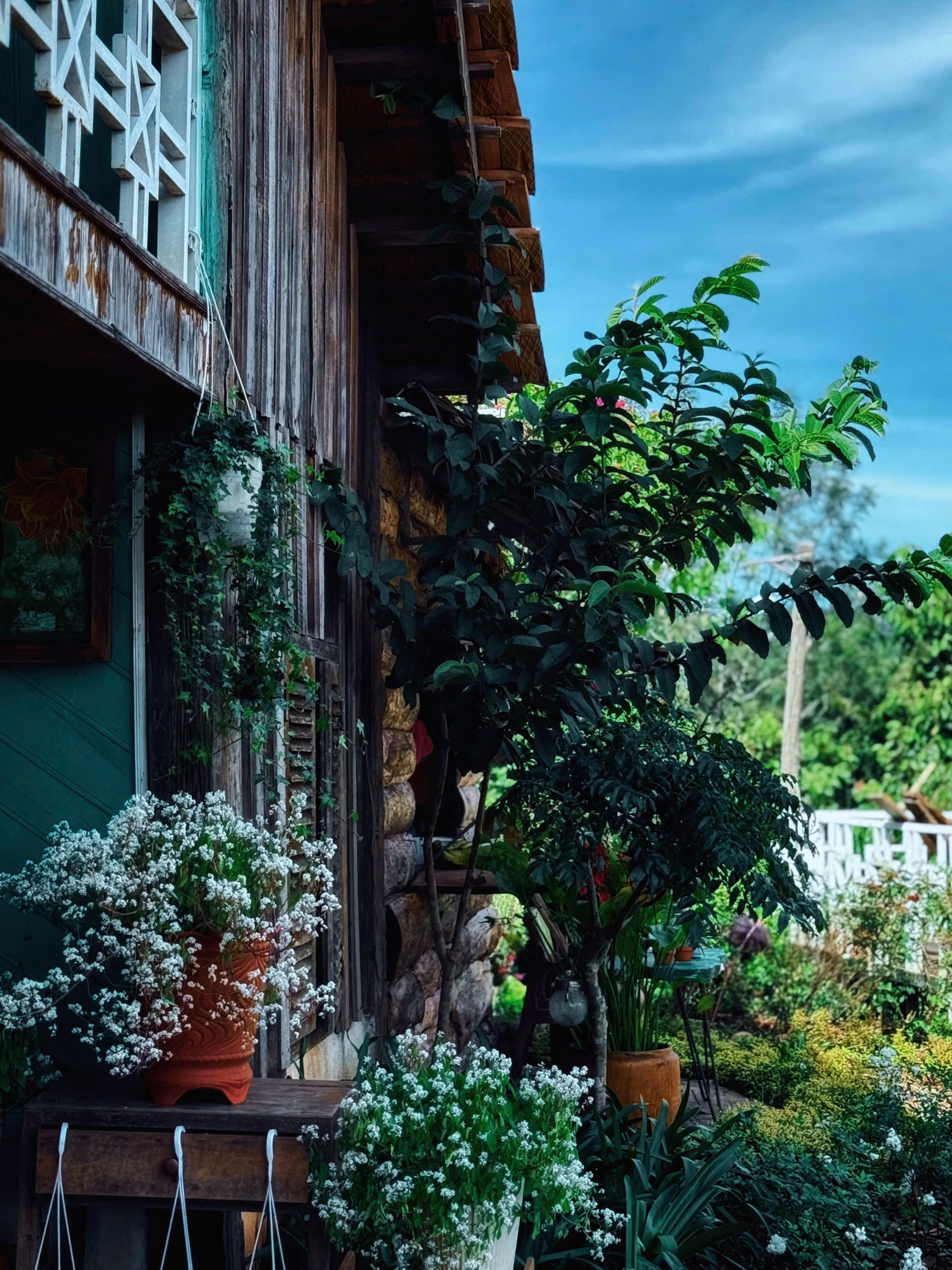 Khung cảnh vẽ ra thật nên thơ...(Ảnh minh hoạ)