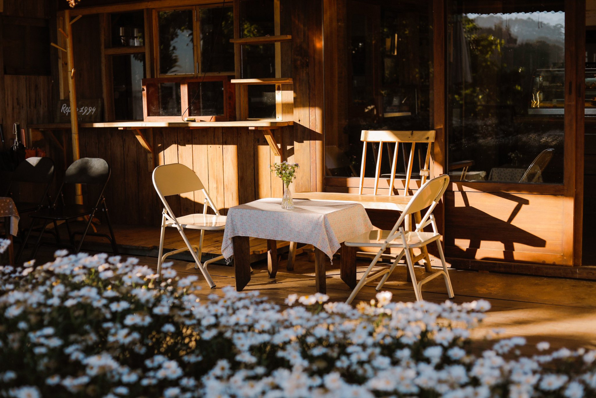 Túi mơ to thu hút giới trẻ với không gian rộng rãi, vườn cúc họa mi 