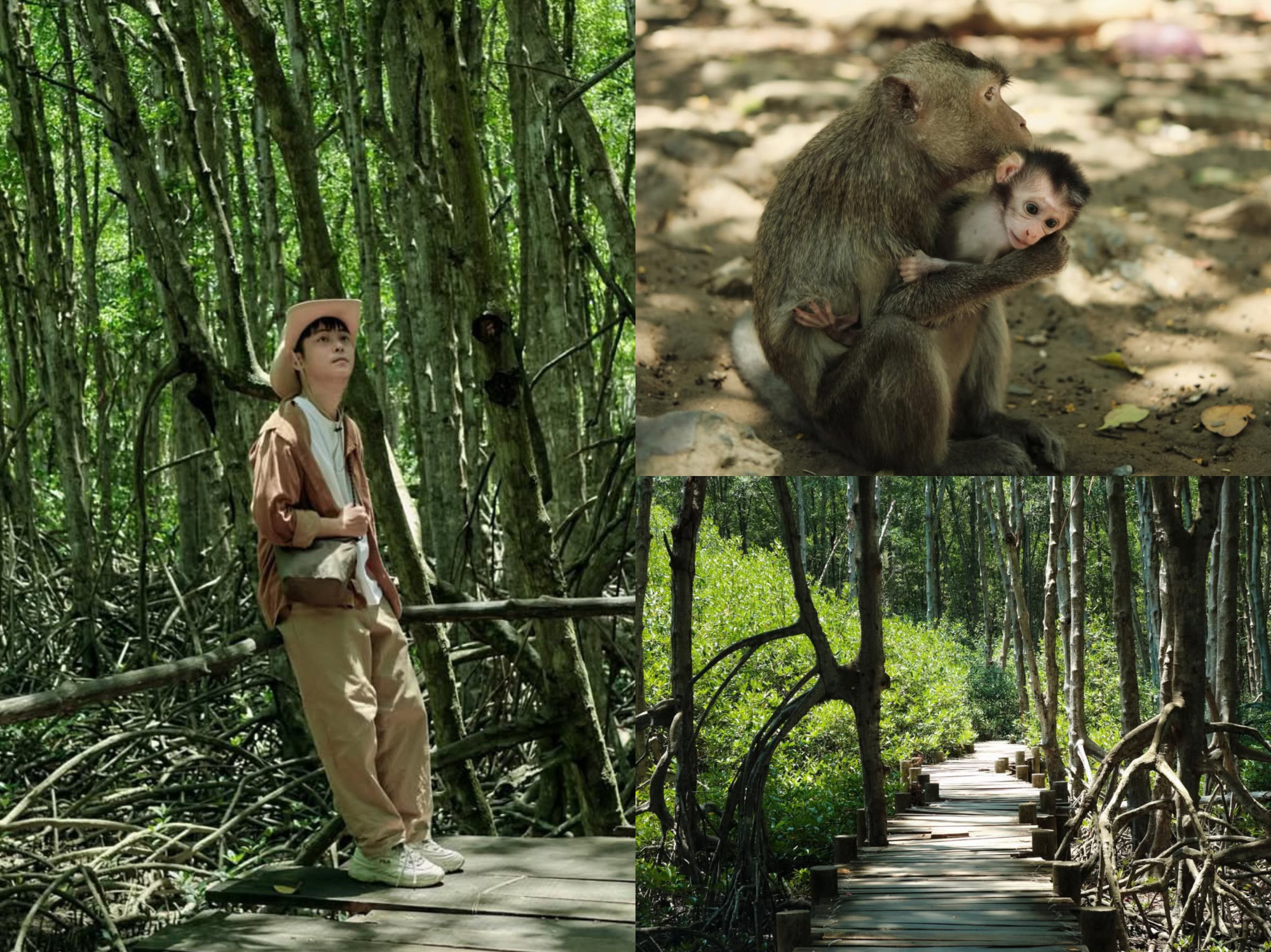 Rừng Sác và đảo khỉ là điểm đến không thể bỏ qua khi ghé thăm Cần Giờ - Ảnh: Nguyenducthu123