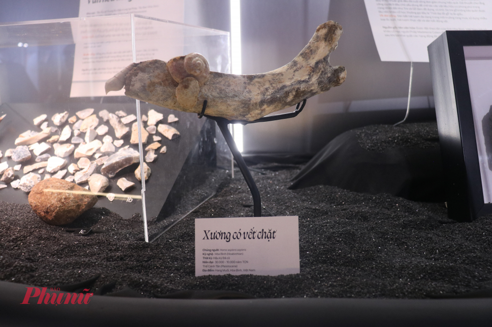 Dấu tích của những can thiệp đầu tiên của con người lên tự nhiên