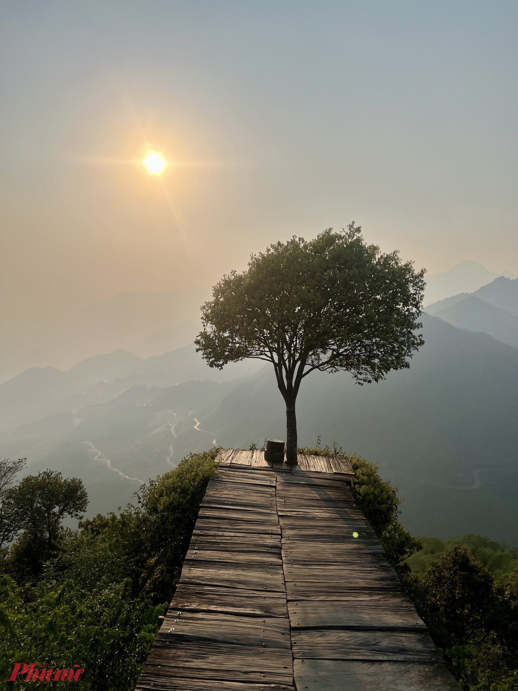 Khoảnh khắc hoàng hôn buông xuống bên góc cây cô độc nơi lưng chừng núi tạo nên khung cảnh đầy thi vị, trở thành điểm dừng chân mê hoặc, đặc biệt thu hút du khách quốc tế khi đến Sa Pa.