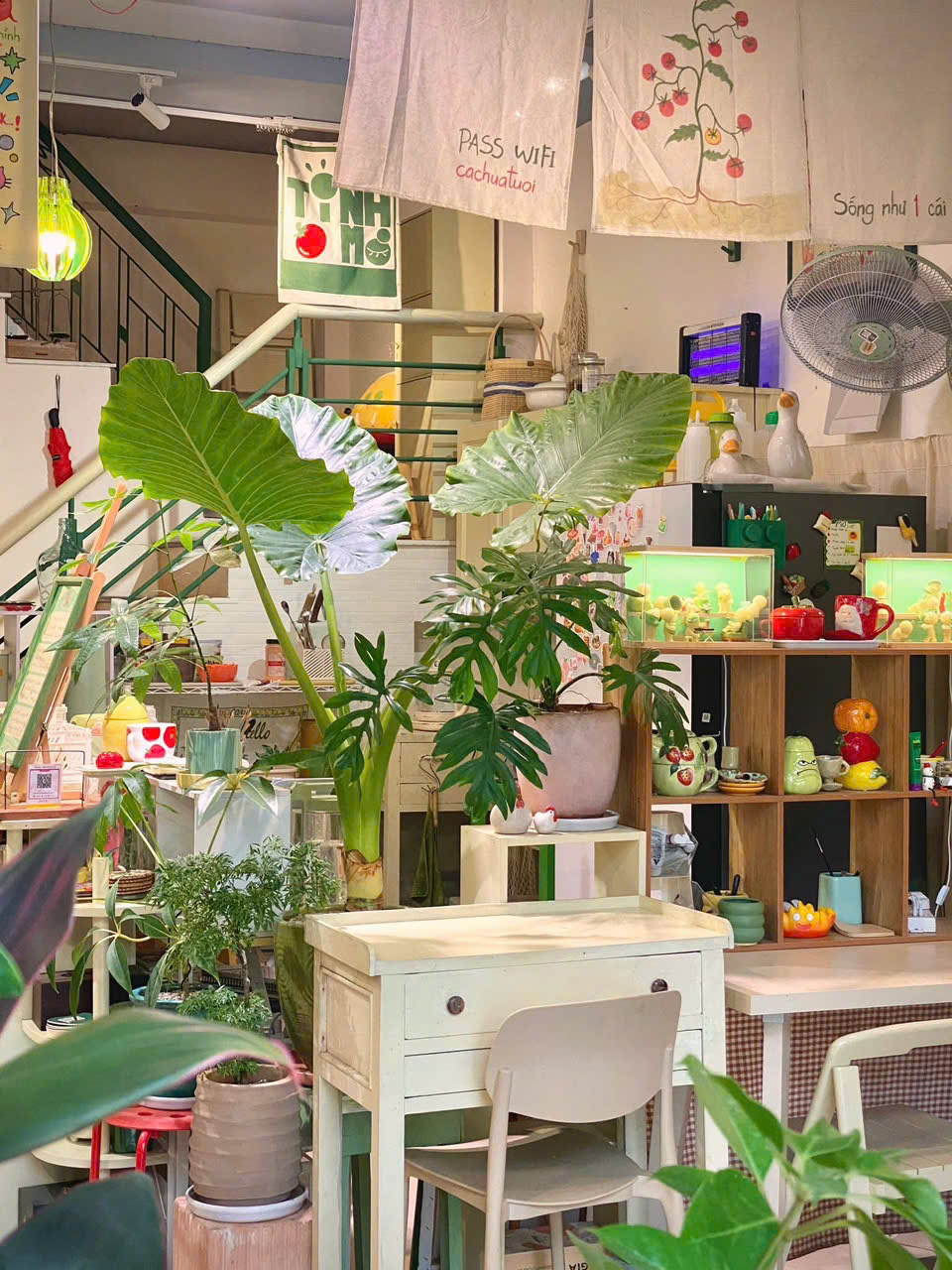 Điểm đặc biệt của Tinh Mơ nằm ở cách xây dựng trải nghiệm cảm xúc. Không gian yên tĩnh, nhạc nhẹ, cùng cách bài trí tối giản khiến nơi đây trở thành điểm đến lý tưởng cho những ai tìm kiếm sự thư giãn. Các góc chụp tại quán thiên về cảm giác “đời thường Nhật Bản” – không quá cầu kỳ nhưng lại rất có chiều sâu, phù hợp với những bộ ảnh mang màu sắc hoài niệm.