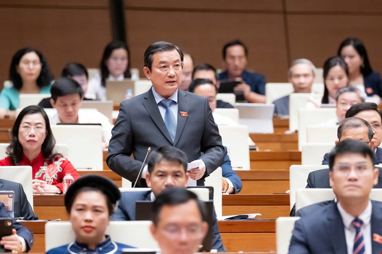 Đại biểu Phạm Trọng Nhân - ảnh: QH