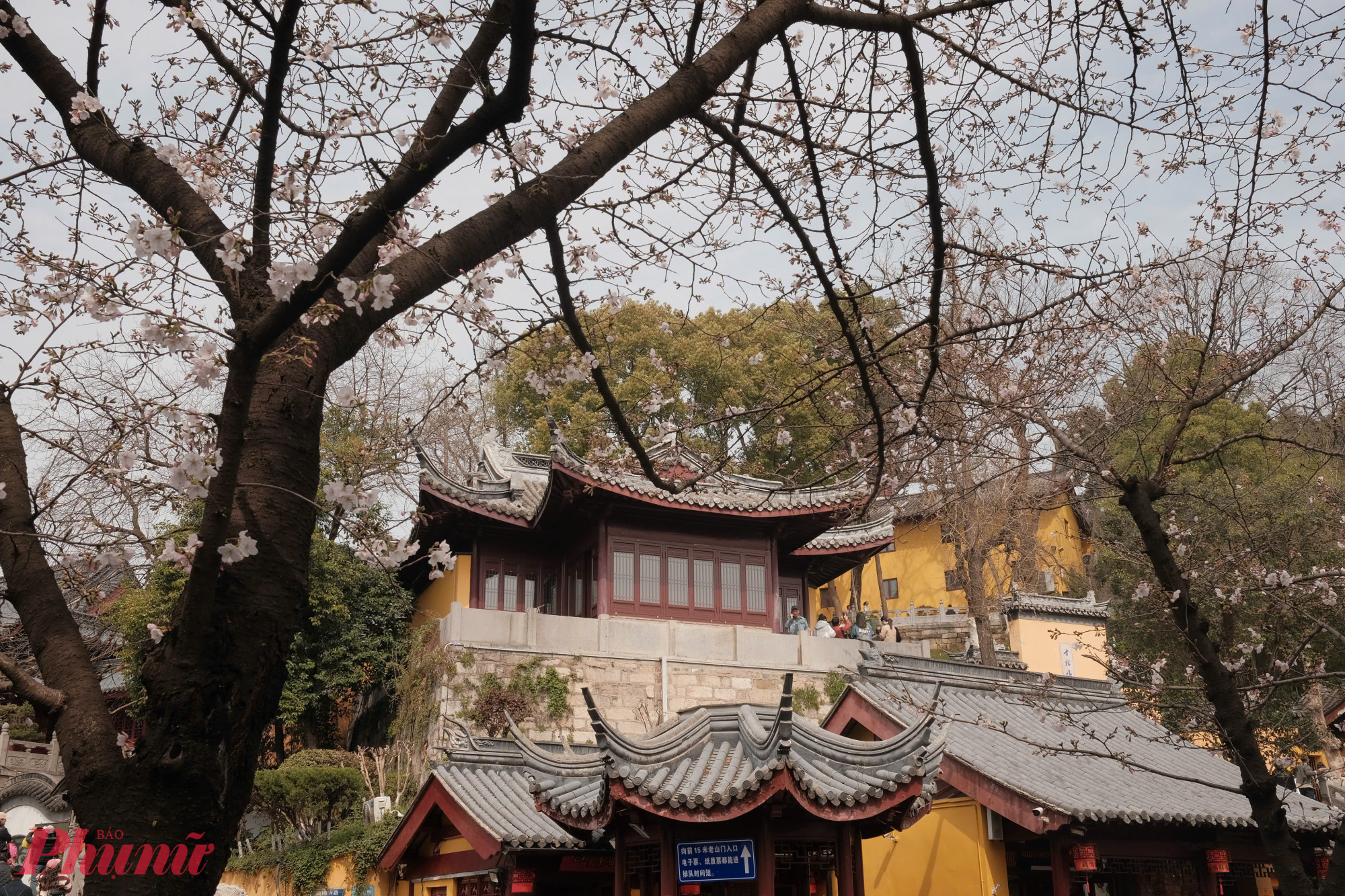 Trải qua nhiều thế kỷ hưng suy, đổi tên và trùng tu, chùa Kê Minh vẫn được nhắc đến như một ngôi chùa có vị trí đặc biệt trong lịch sử Nam Kinh. Chính bề dày ấy khiến không gian nơi đây mang lại cảm giác như đang cất giữ nhiều lớp ký ức của cố đô.