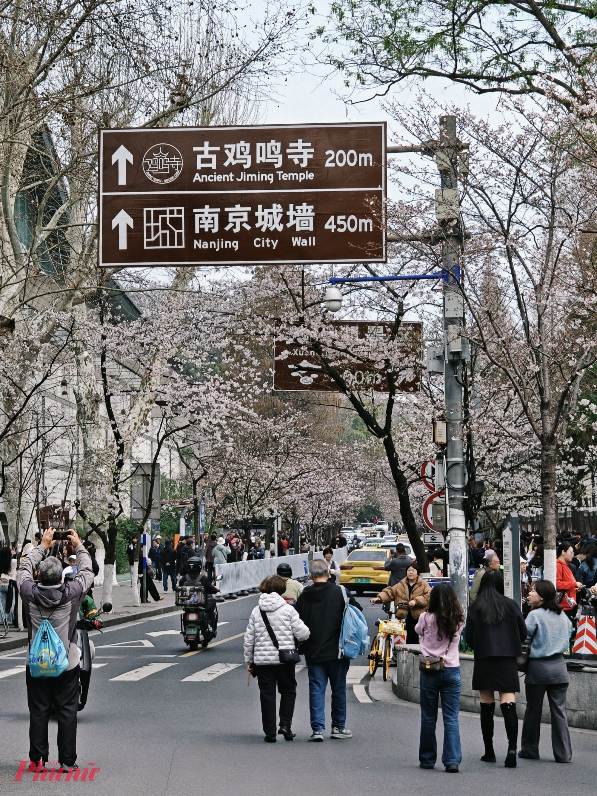 Giữa những tán hoa nở dọc lối vào chùa, khung cảnh vừa có nét rực rỡ của mùa xuân, vừa giữ được sự thanh tĩnh hiếm có giữa một đô thị lớn.