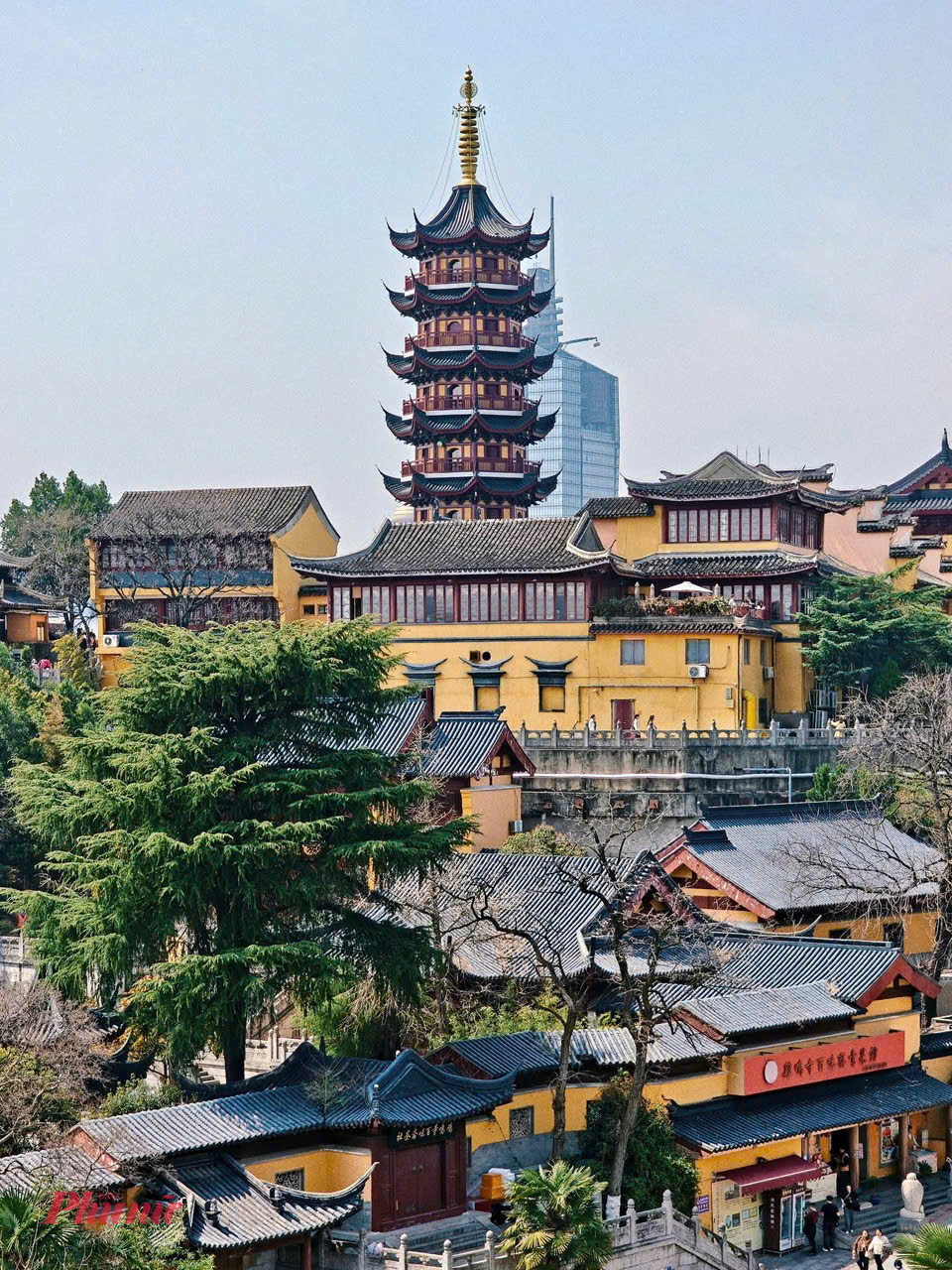 Trong lịch trình “săn hoa” tại Nam Kinh, chùa Kê Minh là điểm dừng tôi mong chờ nhất. Ngôi chùa nằm ở quận Huyền Vũ, gần hồ Huyền Vũ, và thường được nhắc đến như một trong những ngôi chùa cổ nổi tiếng nhất của Nam Kinh.