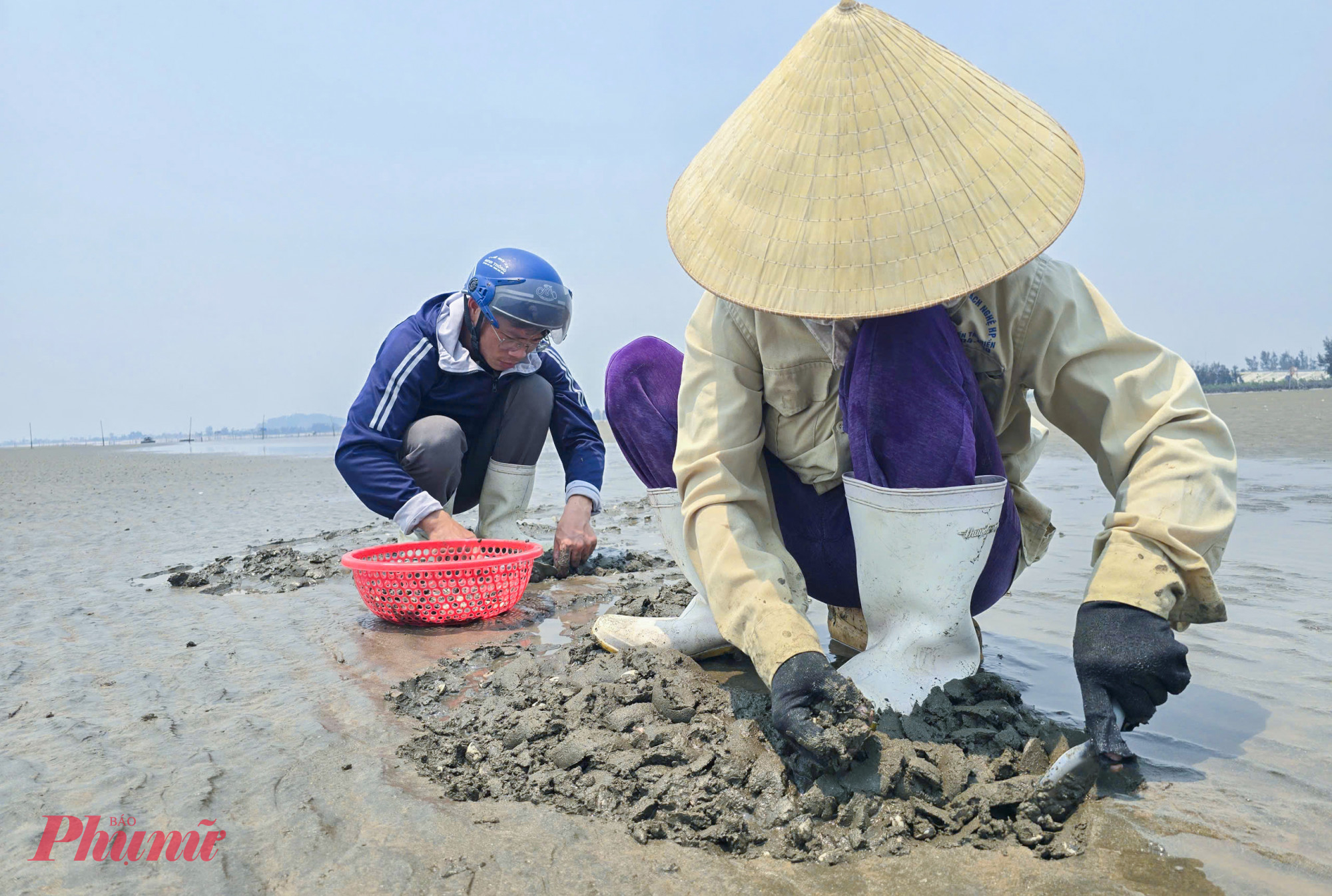 Xã Quỳnh Phú hiện có gần 30 hộ nuôi ngao trên tổng diện tích hơn 100ha. Không chỉ góp phần khai thác hiệu quả tiềm năng kinh tế biển, nghề nuôi ngao còn giúp nhiều hộ dân nâng cao thu nhập, từng bước ổn định đời sống. Mùa thu hoạch, bãi ngao này còn tạo việc làm thời vụ cho hàng trăm lao động địa phương, góp phần giải quyết nhu cầu việc làm tại chỗ.