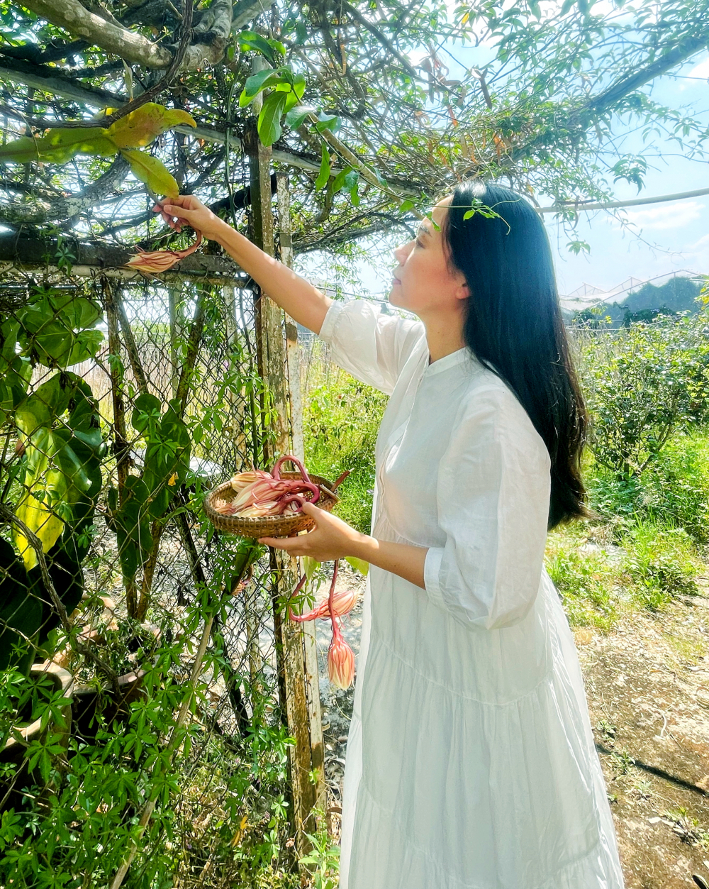 Tác giả bên cây quỳnh lâu năm của gia đình - Ảnh do tác giả cung cấp