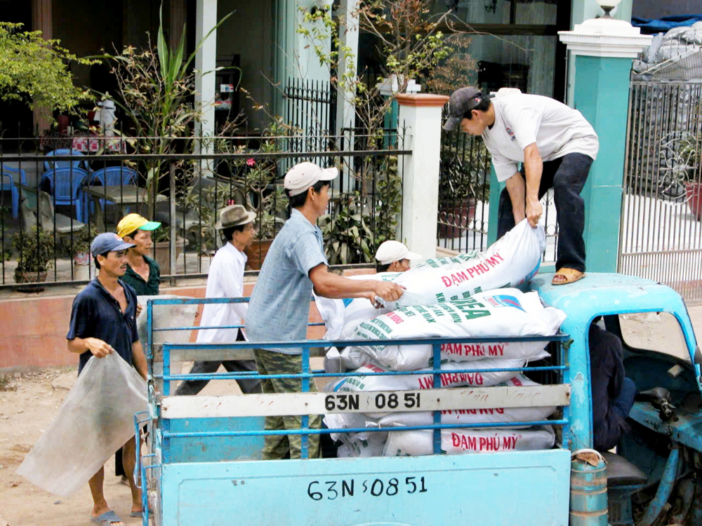Hiện tại giá phân bón đang tăng cao, gây khó khăn cho việc sản xuất của nông dân ở miền Tây